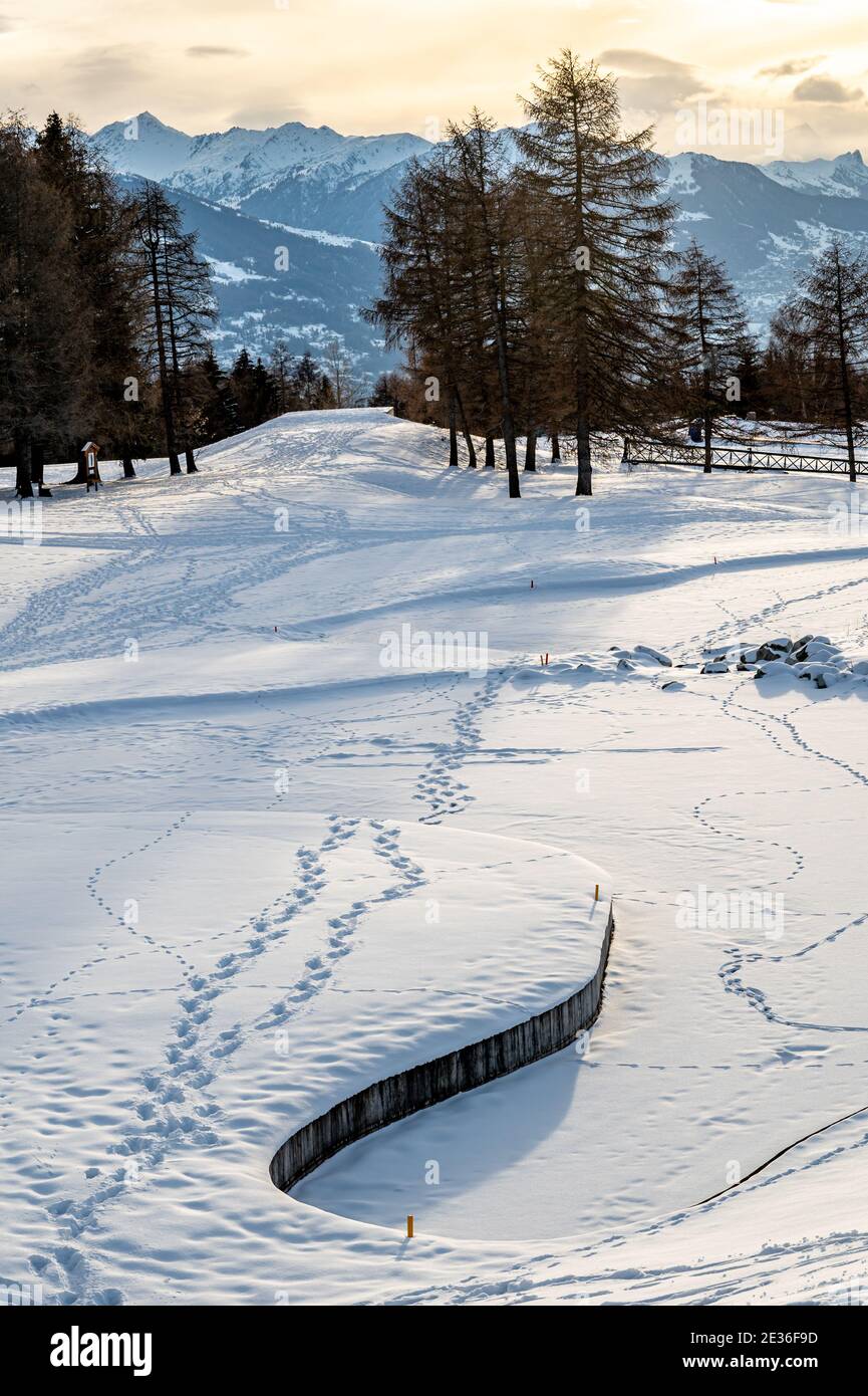 Winterhintergrund. Schnee, eisiges Wasser, Bäume und Berge in Crans Montana in der Schweiz. Ruhige Szene und Schönheit in der Natur. Stockfoto