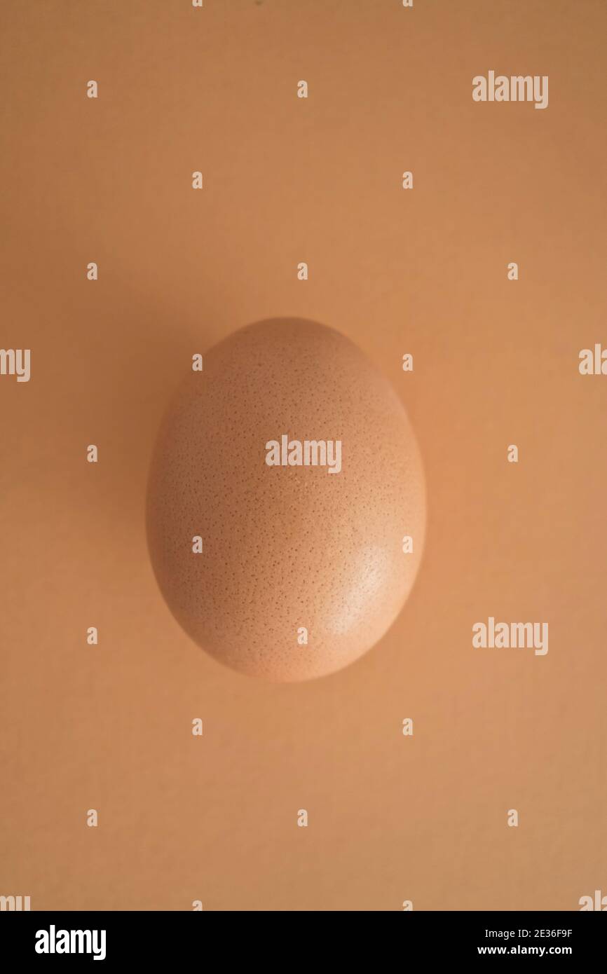 Ein Ei, Minimalismus Konzept Stockfoto