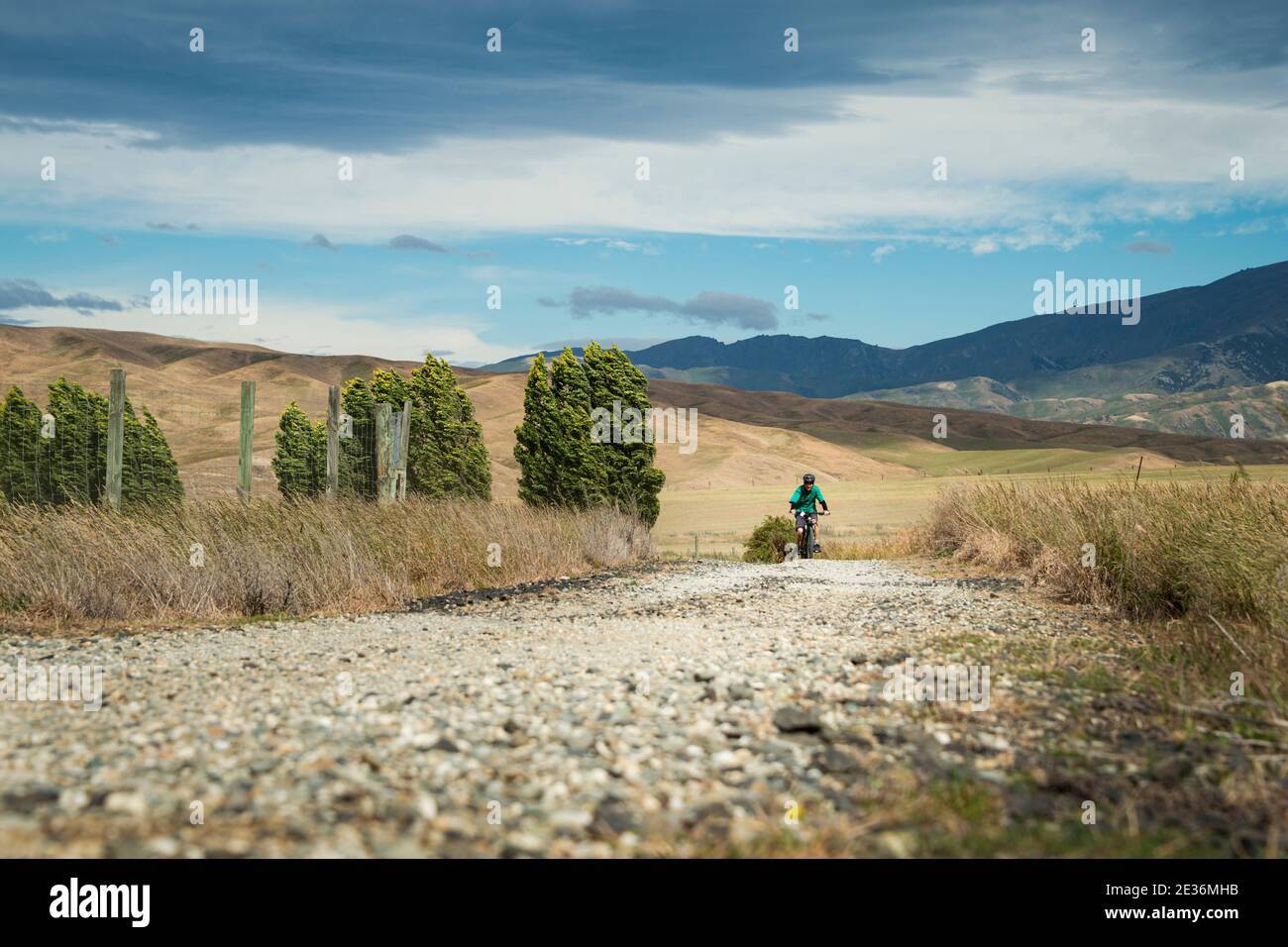 Tourist mit dem Fahrrad auf dem Otago Central Rail Trail im starken Wind, Südinsel, Neuseeland Stockfoto