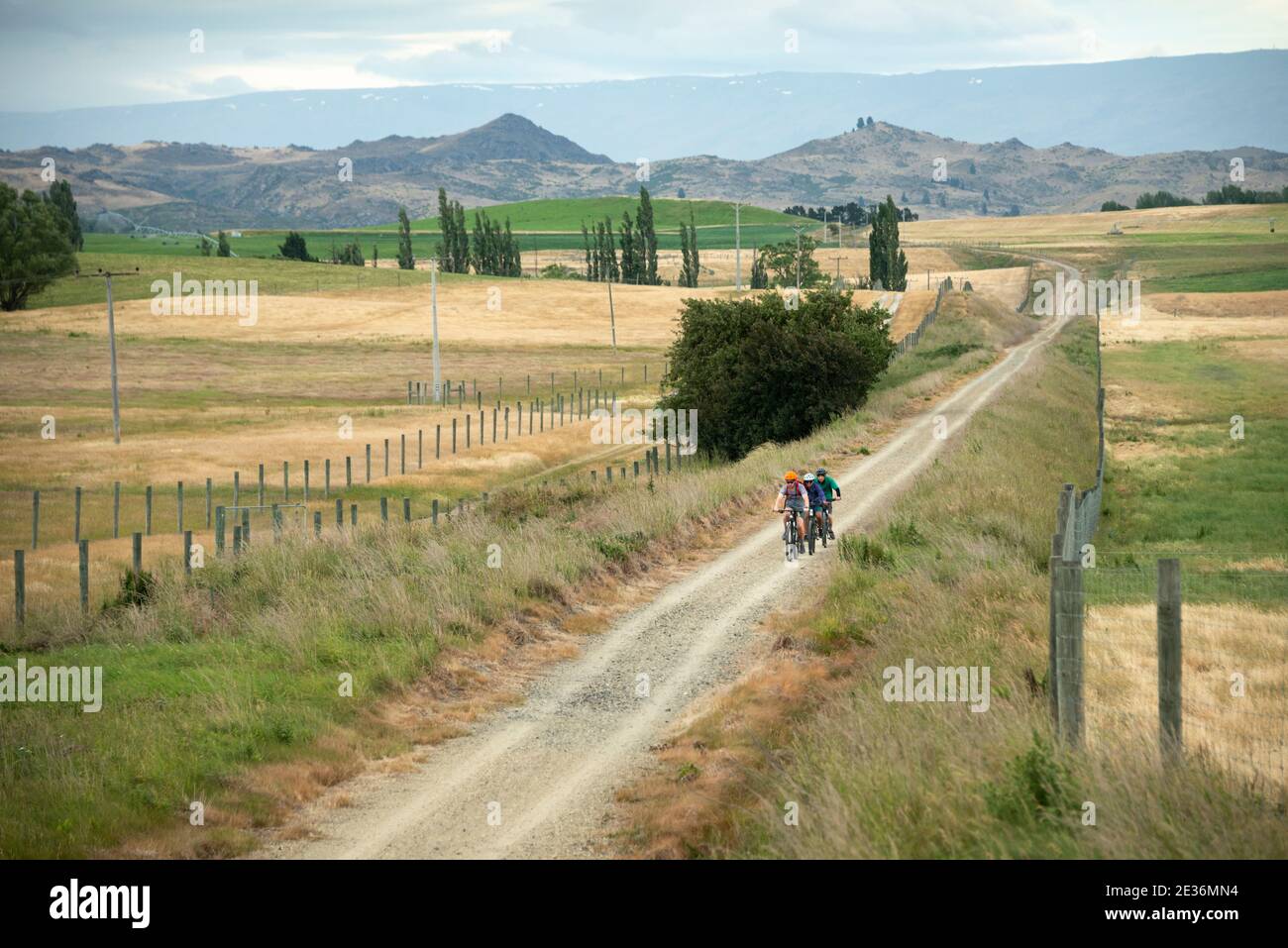 Radfahren auf dem Otago Central Rail Trail mit Blick auf das weite flache Land, South Island, Neuseeland Stockfoto