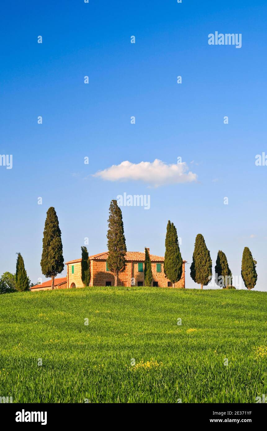 Val d' Orcia, traditionelles Bauernhaus in der Toskana, Italien Stockfoto