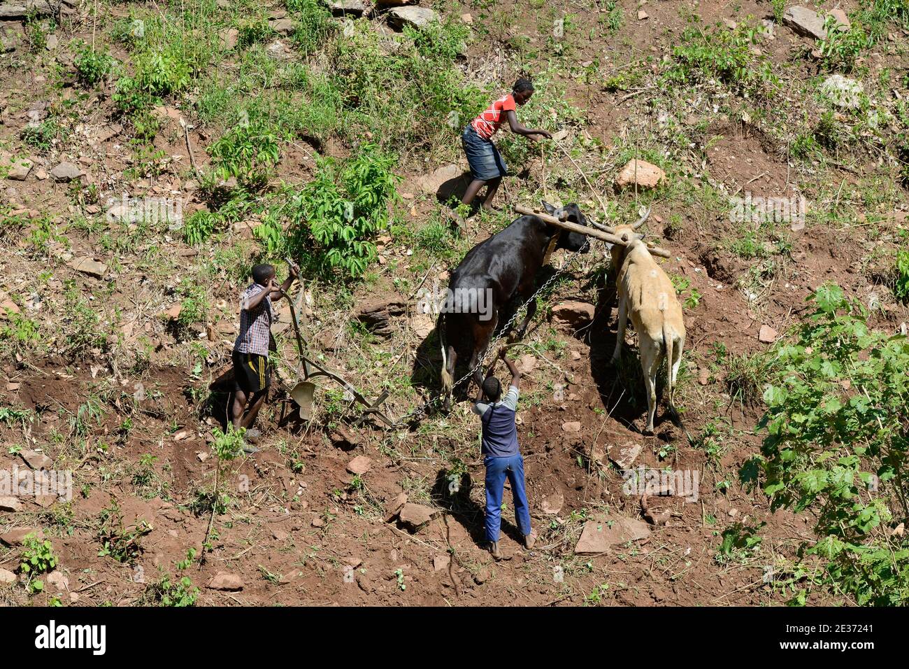 Contour Farming Stockfotos Und Bilder Kaufen Alamy