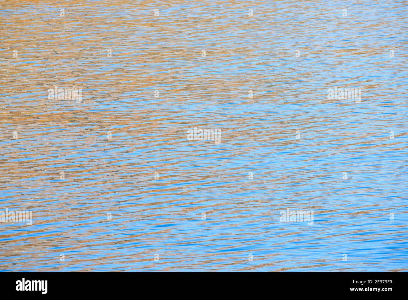 Farbige Reflexion auf Wasseroberfläche, Silsersee, Schweiz Stockfoto