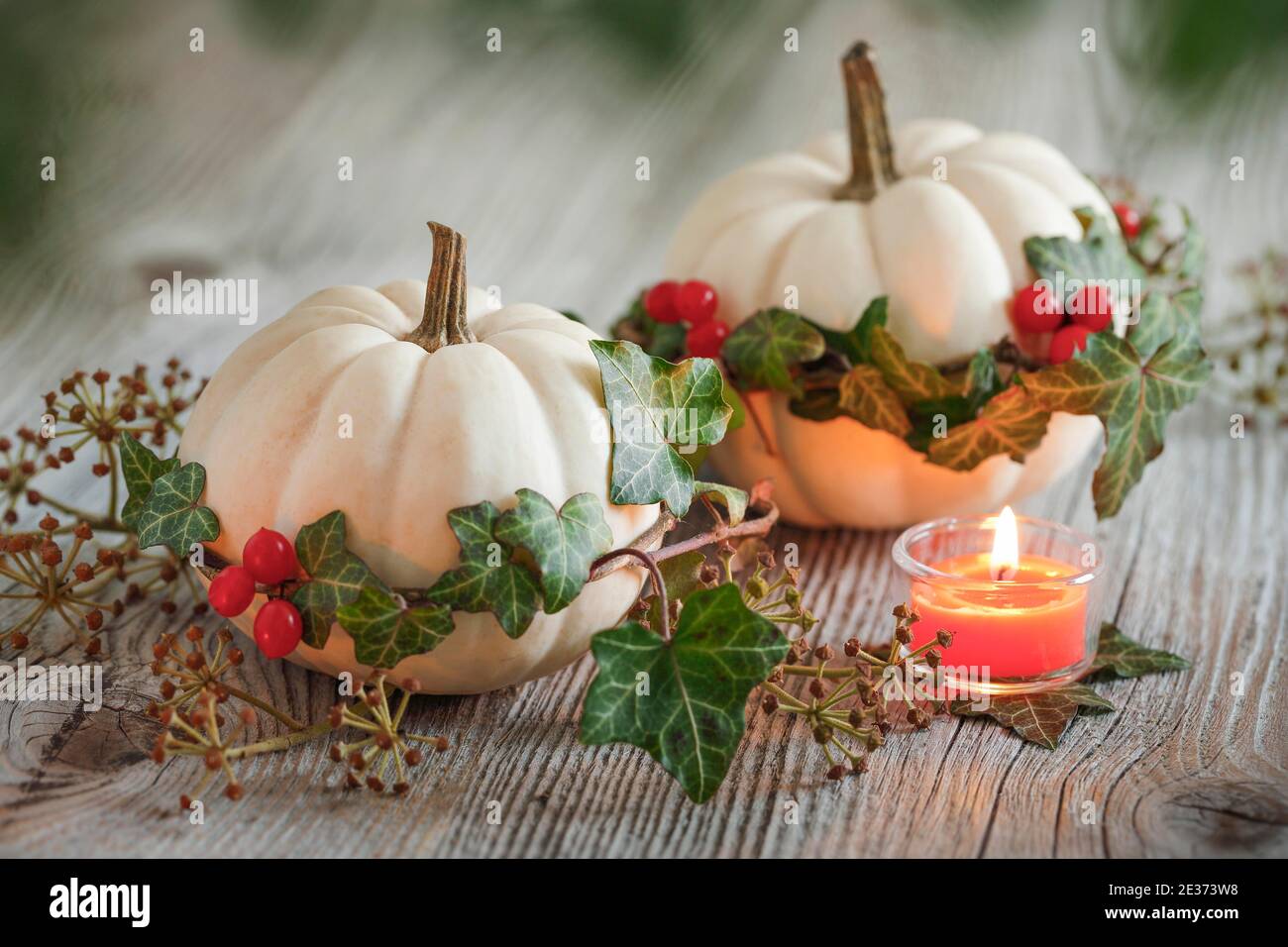 Herbstliche Dekoration Stockfoto