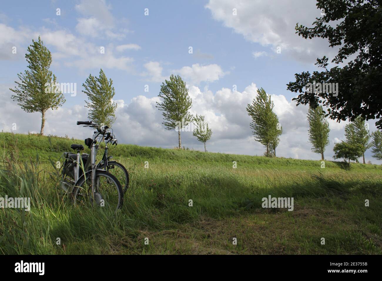 Eine wunderschöne holländische Landschaft an einem stürmischen Tag im Frühling Mit zwei Fahrrädern im grünen Gras und schweren winkenden Bäumen An einem Deich und einem blauen Himmel mit Wolken Stockfoto