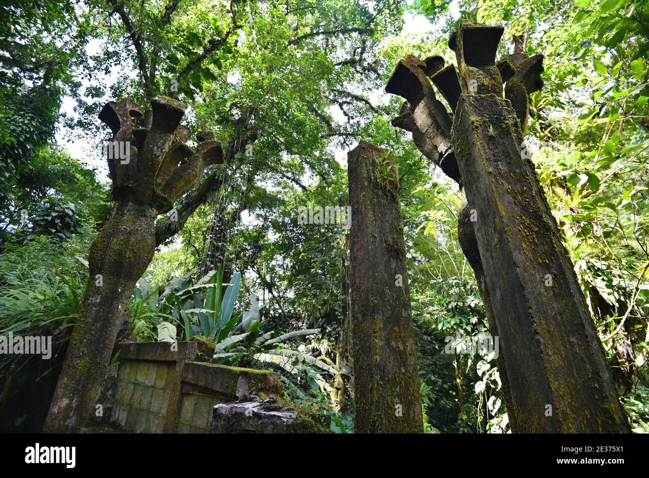 Panoramablick auf die Pools, Las Pozas ein surrealistischer Garten (Jardín surrealista) im subtropischen Regenwald der Sierra Madre Berge, Mexiko. Stockfoto