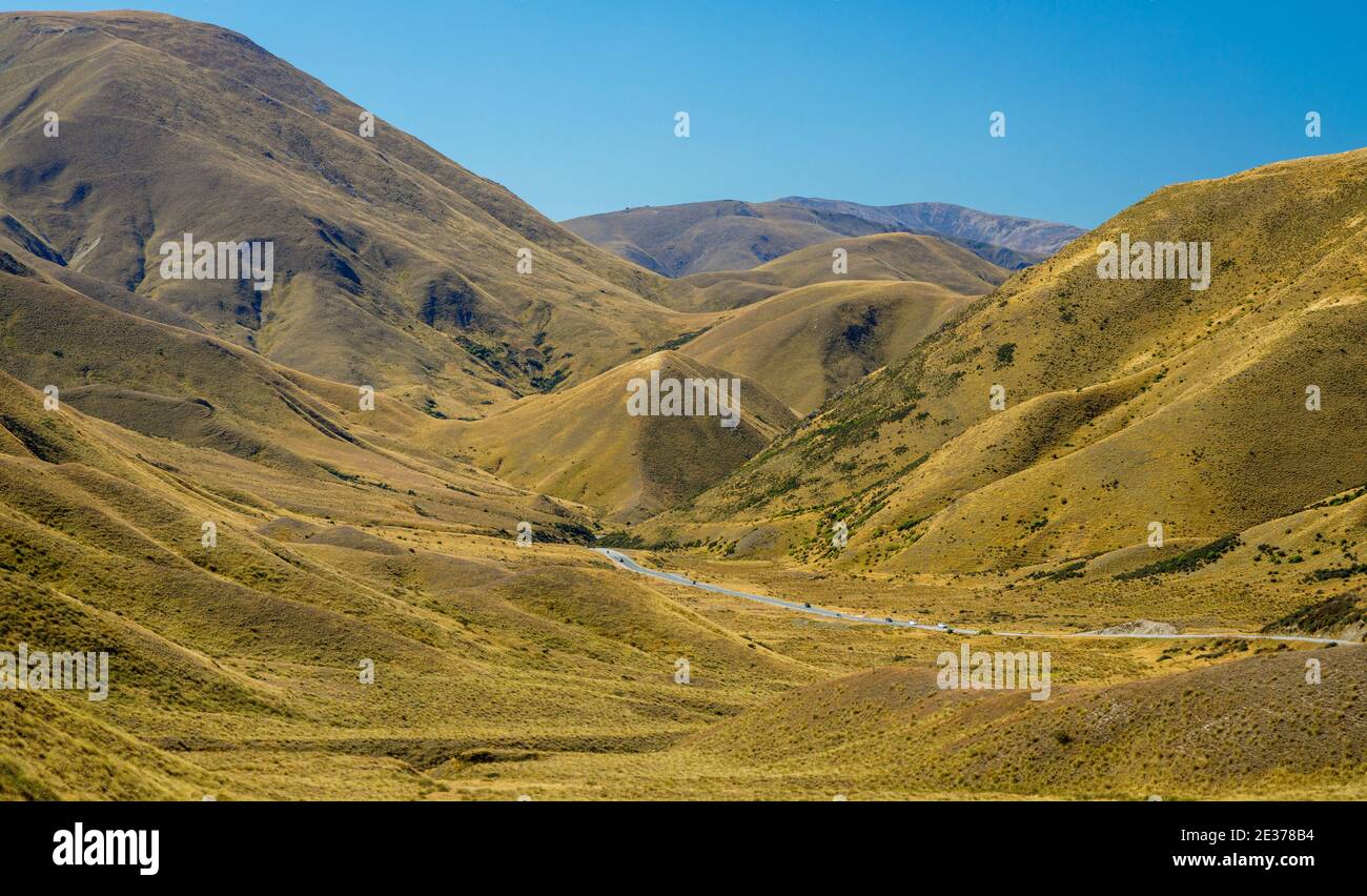 Das offene Grasland des Haast Passes an der Westküste der Südinsel, Neuseeland. Stockfoto