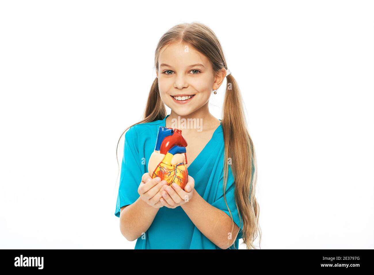 Mädchen hält ein anatomisches Herzmodell in den Händen. Konzept der Herzgesundheit und Diagnose von Herzerkrankungen bei Kindern Stockfoto