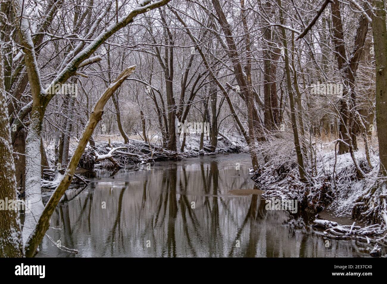 Frisch gefallener Schnee bedeckt die Wanderwege im Honey Creek Reserve in Tipp City, Ohio. Stockfoto