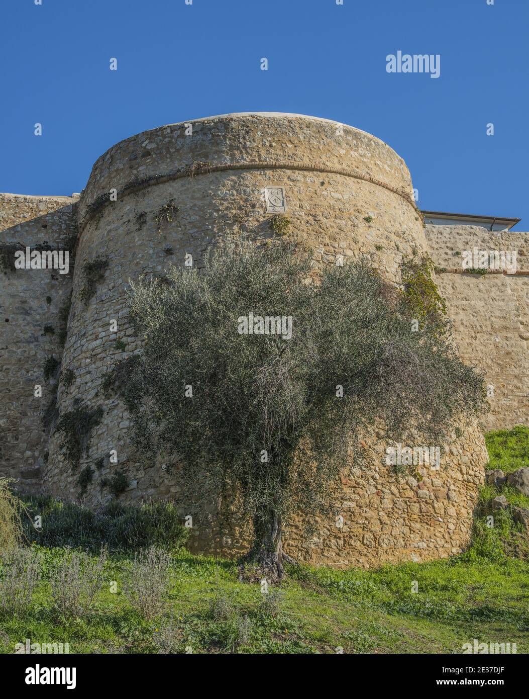 Einer der Turm in den Mauern von Magliano in Toskana Stockfoto