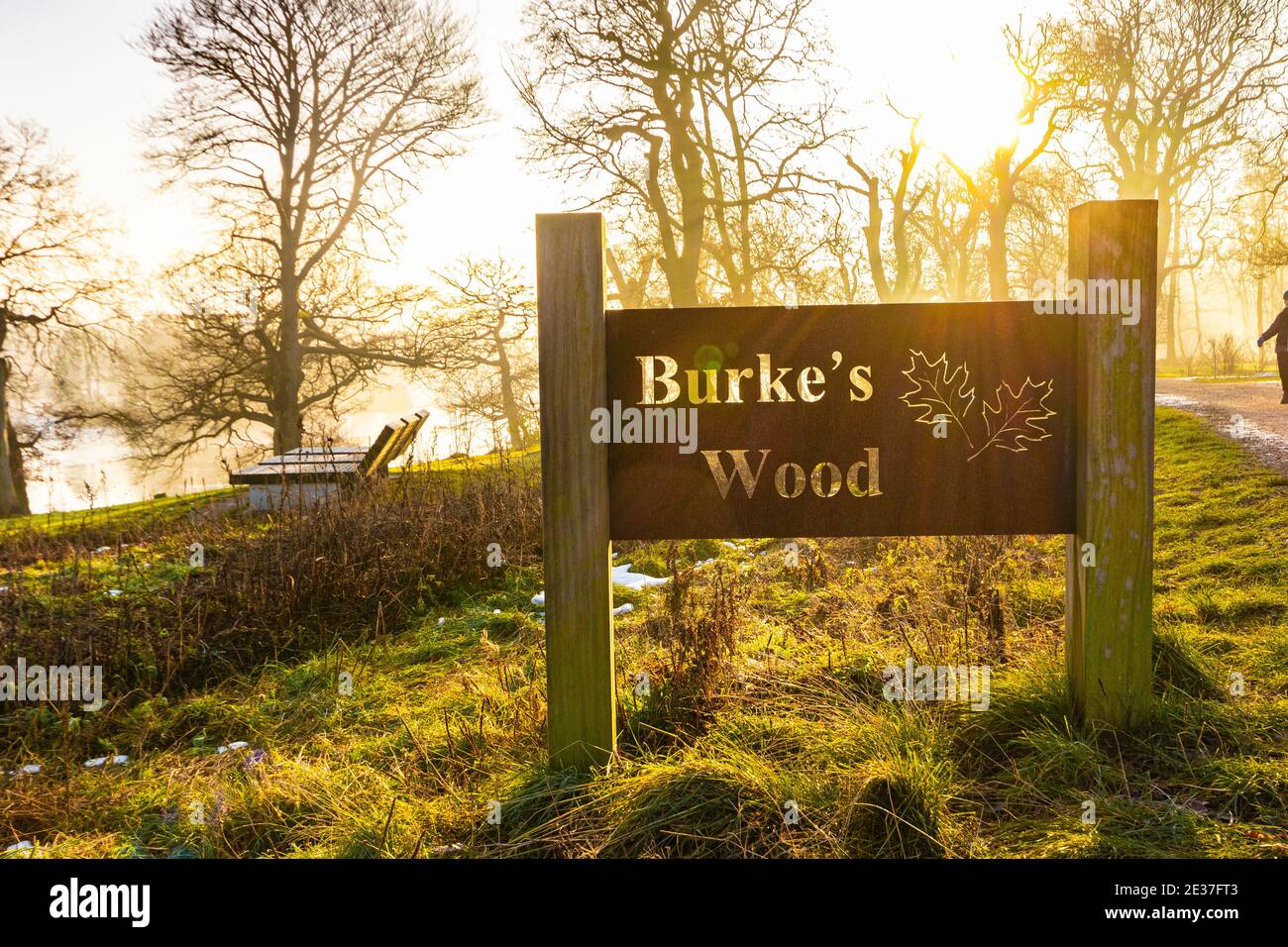 Burkes Wood Zeichen in der frühen Morgensonne in winterlicher Szene In Trentham Gardens Staffordshire Stockfoto
