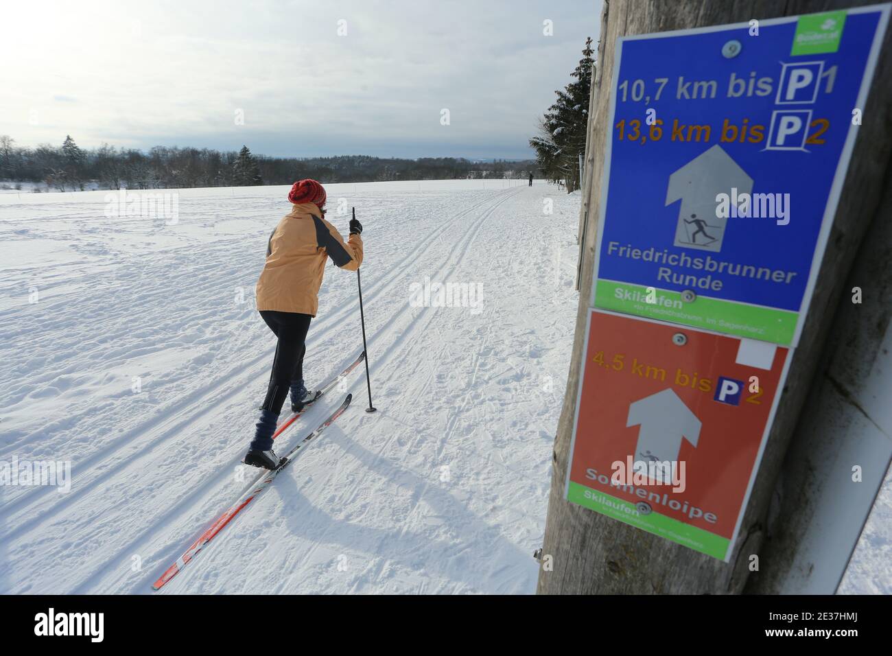 Friedrichsbrunn, Deutschland. Januar 2021. Viele Besucher nutzen das herrliche Winterwetter, um auf den Langlaufloipen des Harzes, wie hier in Friedrichsbrunn, Ski zu fahren. Der Wintersportort Friedrichsbrunn gehört zu den beliebten Wintersportregionen des Harzes. Quelle: Matthias Bein/dpa-Zentralbild/dpa/Alamy Live News Stockfoto