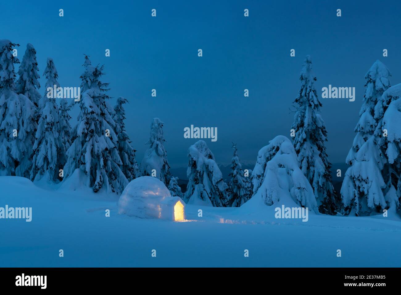 Schnee-Iglu von innen leuchtend in den Winterbergen. Schneebedeckte Tannen im Abendlicht im Hintergrund. Landschaftsfotografie Stockfoto