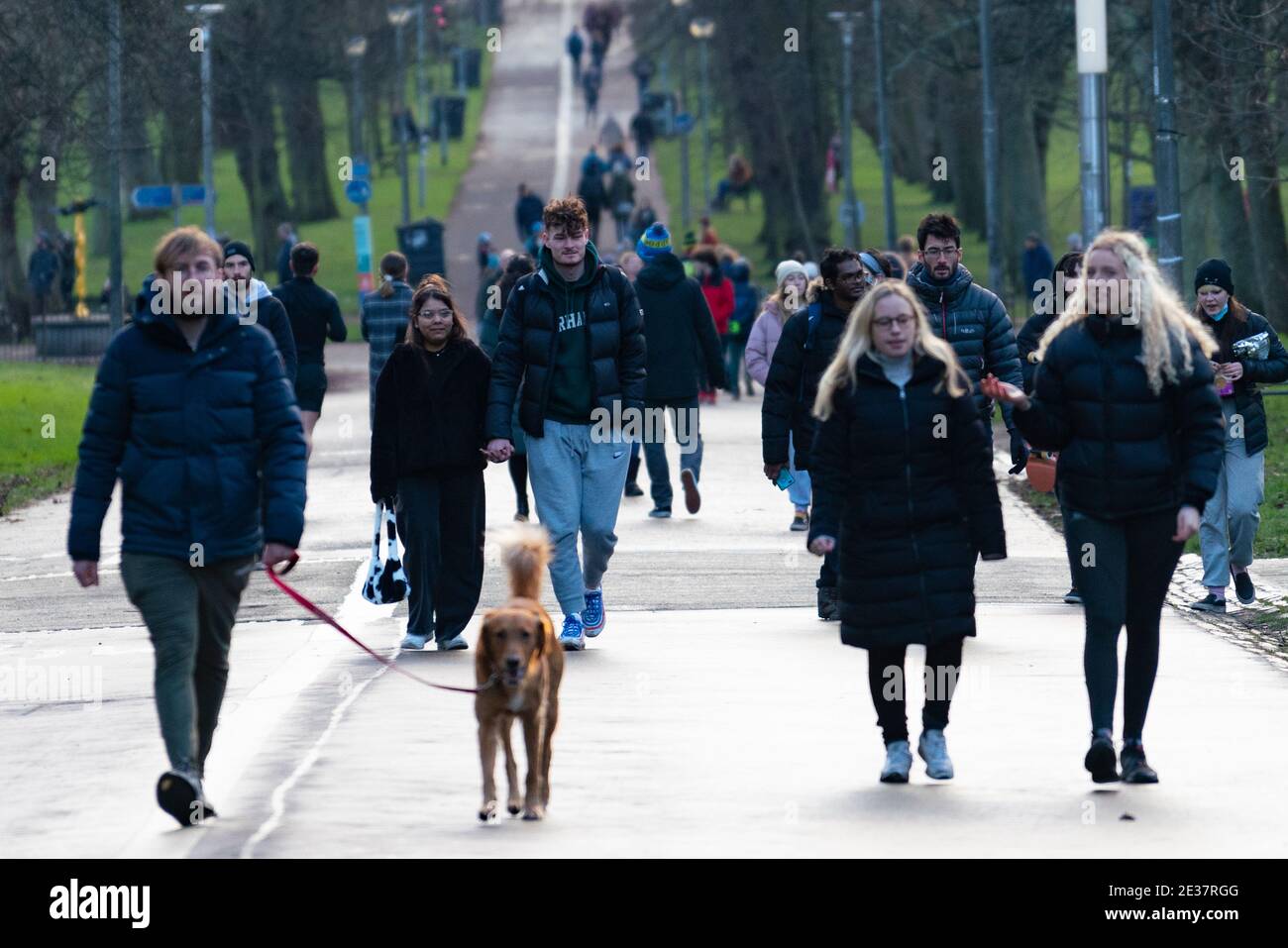 Edinburgh, Schottland, Großbritannien. 17. Januar 2021. Am ersten Sonntag nach Verschärfung der nationalen Sperrregeln in Schottland war die Öffentlichkeit in großer Zahl im Meadows Park in Edinburgh. Zwischen Spaziergängern, Joggern und Radfahrern wurde sehr wenig soziale Distanz aufrechterhalten, da sie auf einem schmalen Fußweg um Platz wetteiferten. Iain Masterton/Alamy Live News Stockfoto