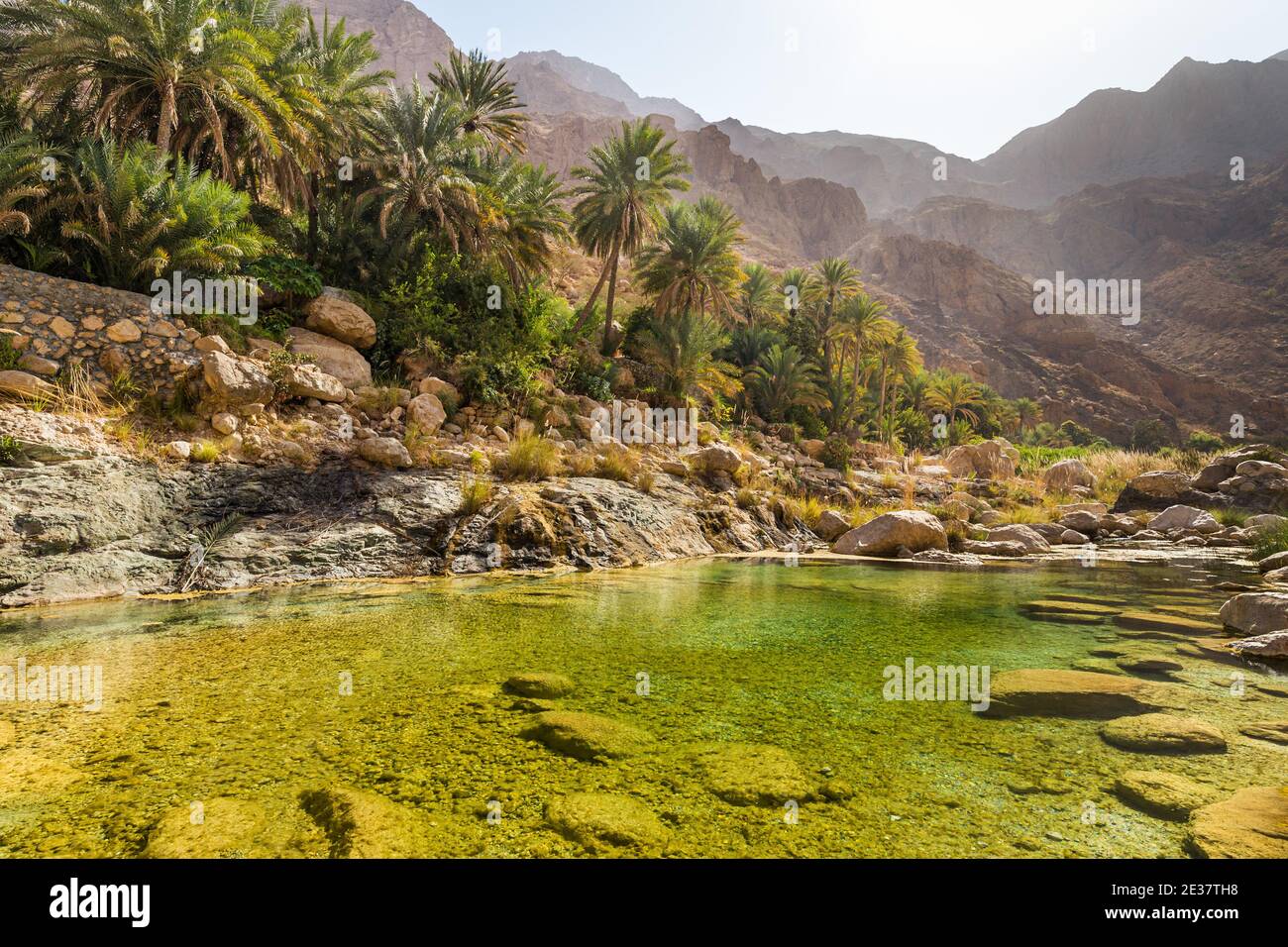 Klares, grünes Wasser von Wadi Tiwi, Oman Stockfoto