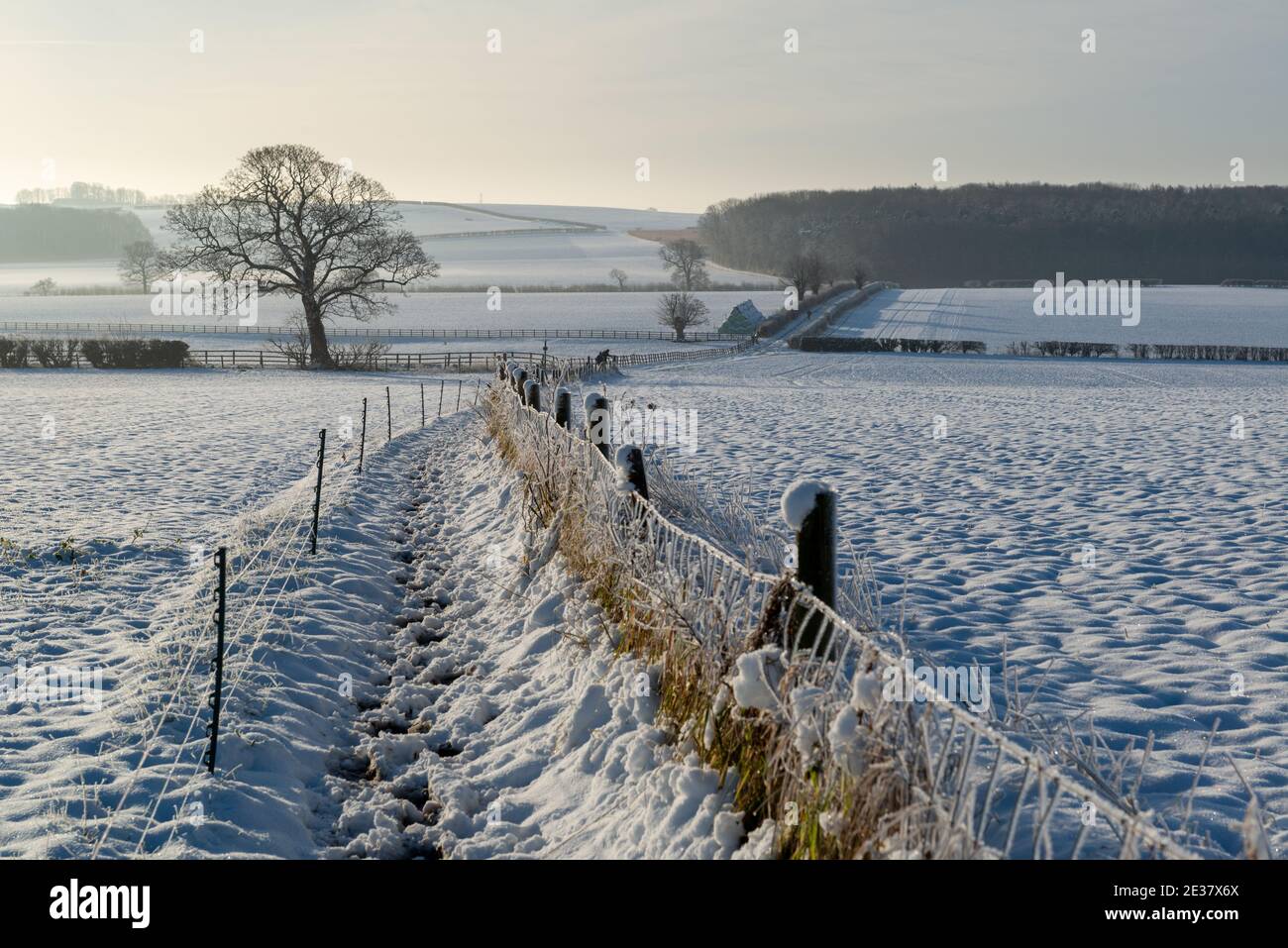 Ein schneebedeckter Fußweg, der durch Felder und zu einem Wald bei Oglethorpe, West Yorkshire, führt Stockfoto
