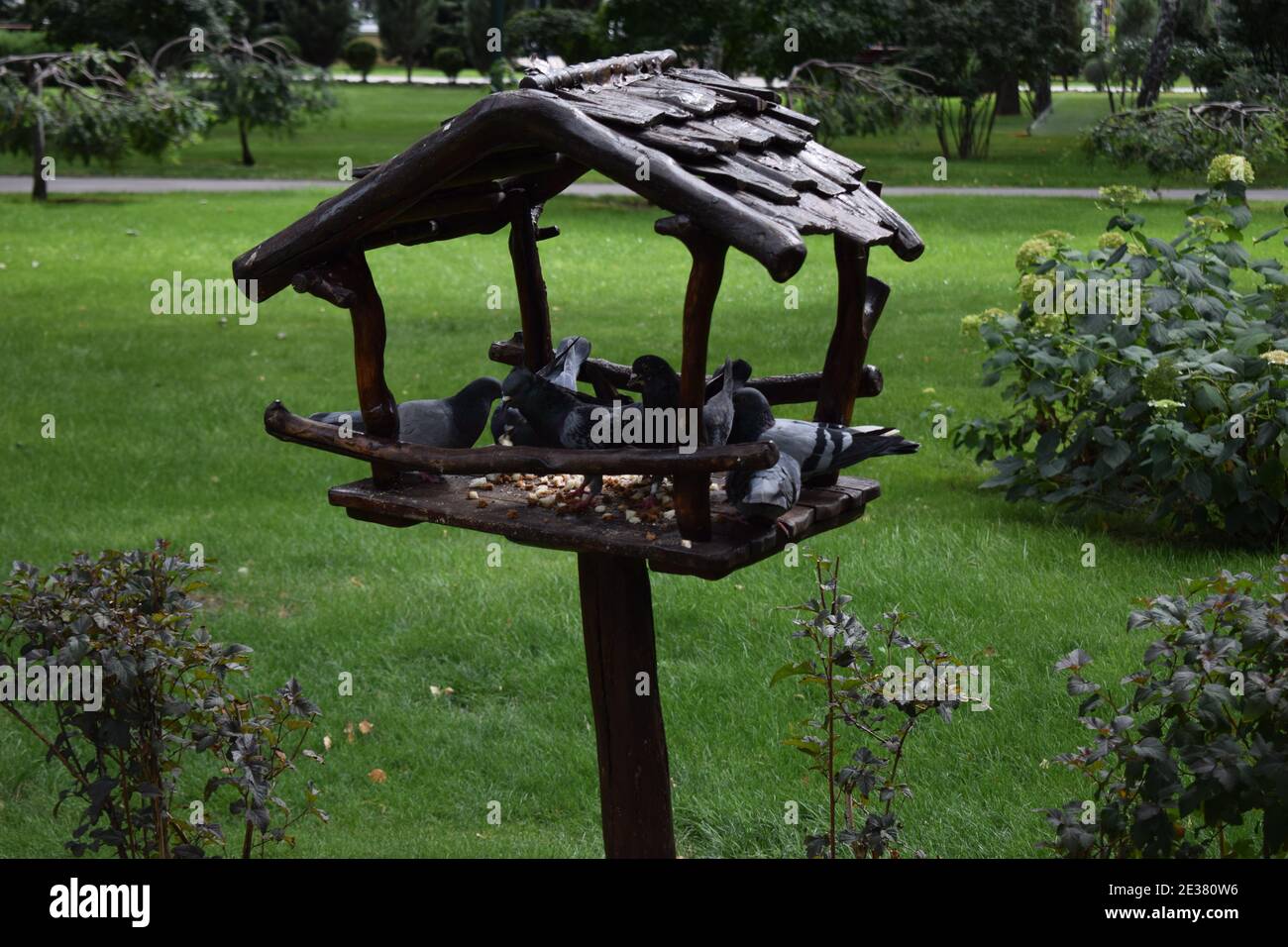 Handgefertigter Vogelfutterhäuschen mit Vögeln. Vogelfutterhäuschen aus Holz in Form eines Hauses mit einem Dach, an einem Holzpfosten in einem Park zwischen Bäumen in der Natur befestigt Stockfoto