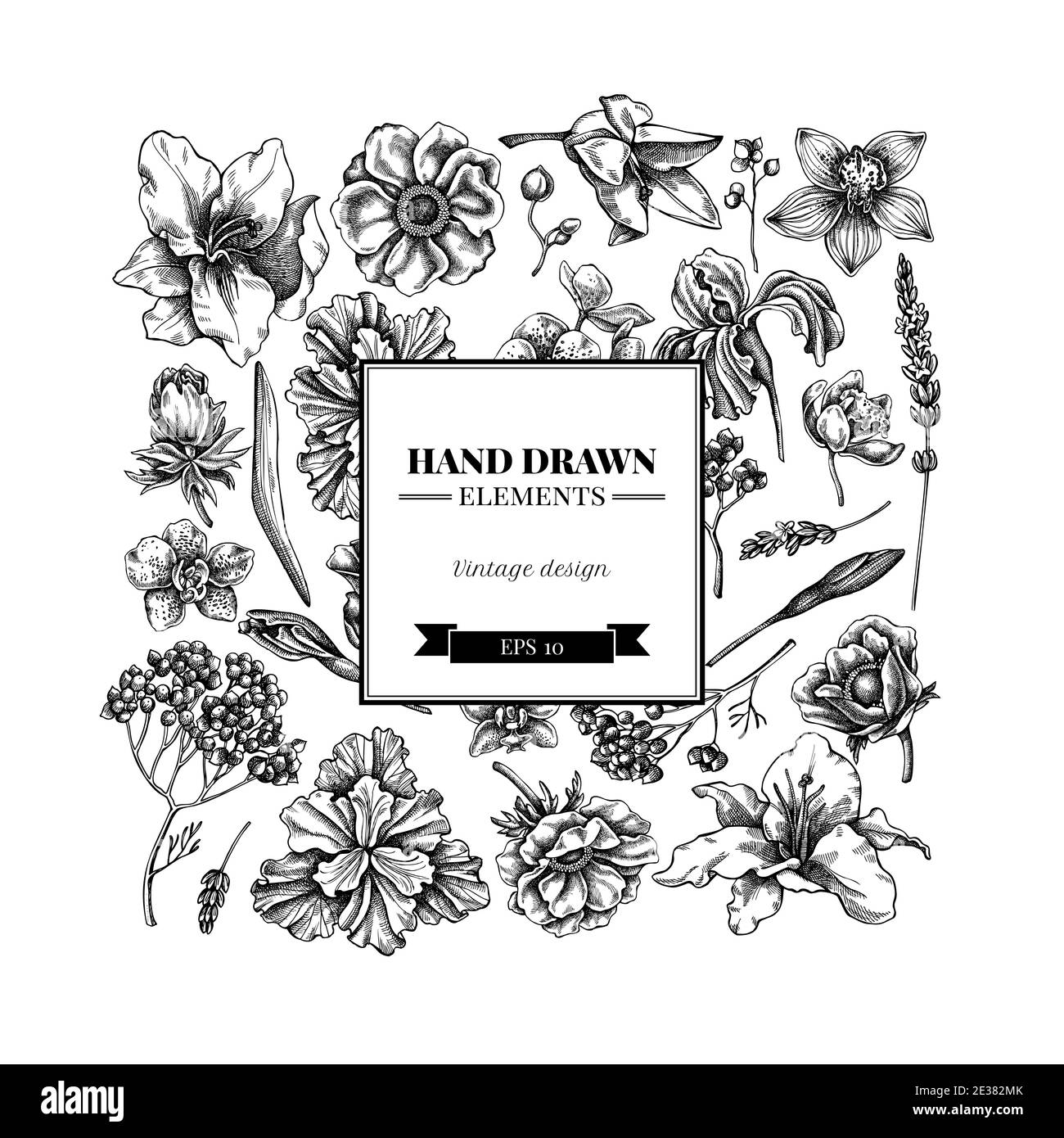 Quadratisches florales Design mit schwarzer und weißer Anemone, Lavendel, Rosmarin Everlasting, Phalaenopsis, Lilie, Iris Stock Vektor