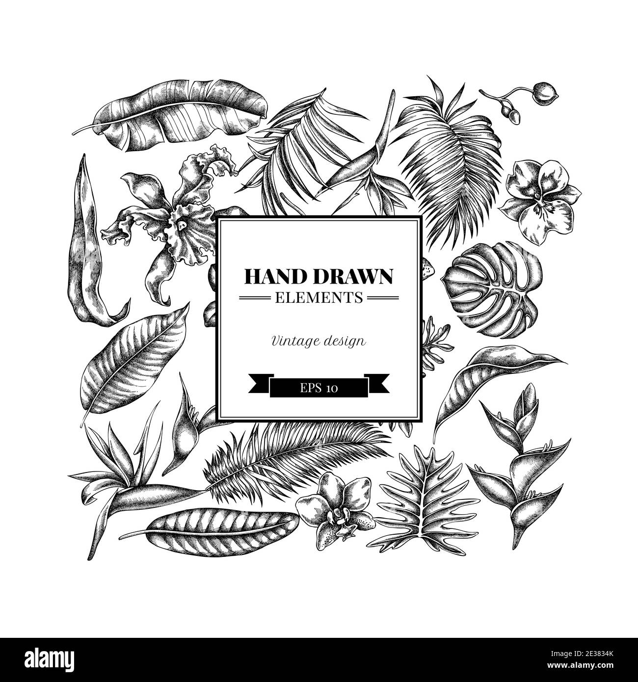 Quadratisches Blumenmuster mit schwarzen und weißen Monstera, Bananenpalmenblättern, strelitzia, Heliconia, tropischen Palmenblättern, Orchidee Stock Vektor