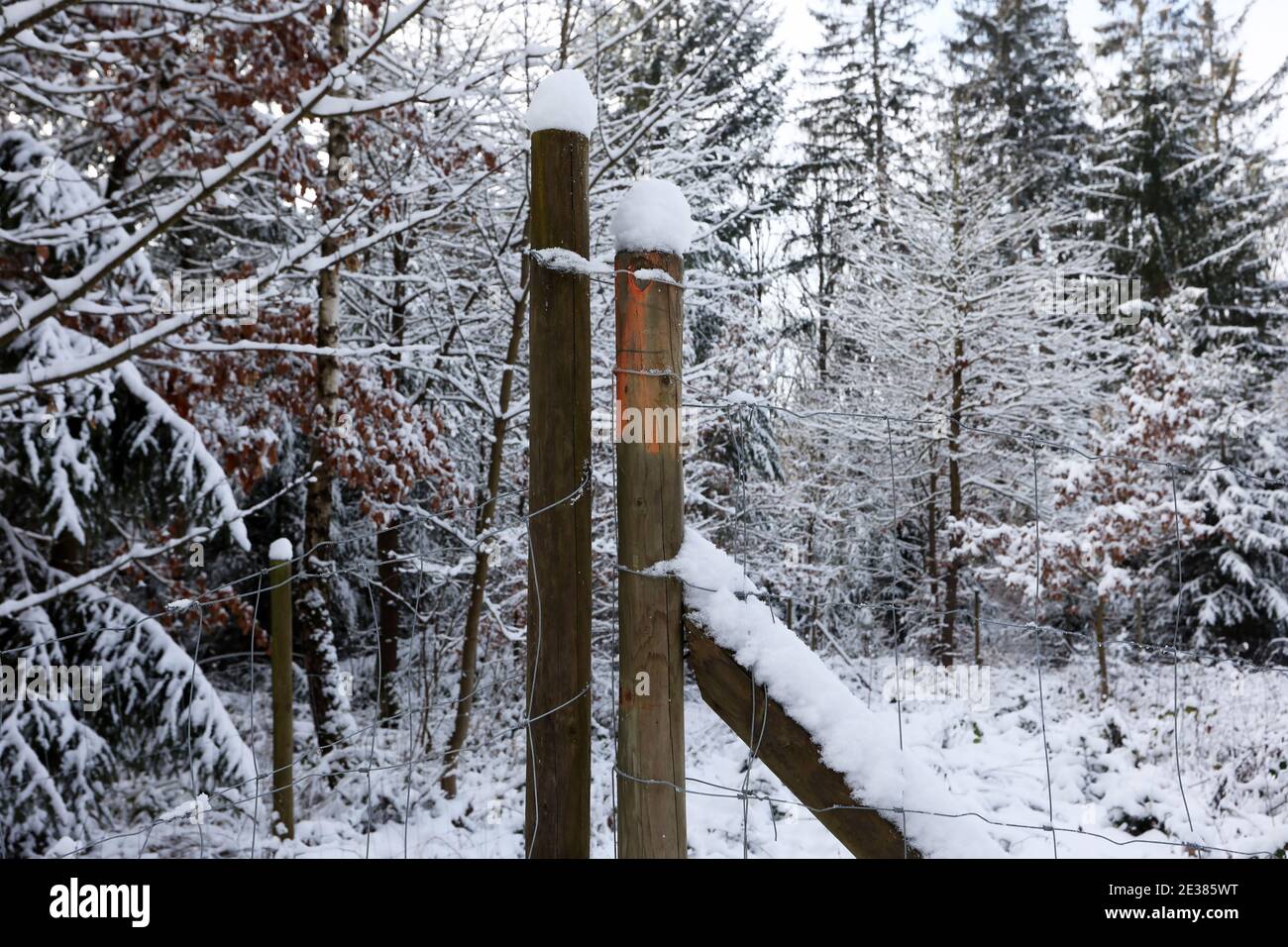 Weiße Schneekappen an den Zaunpfosten. Stockfoto
