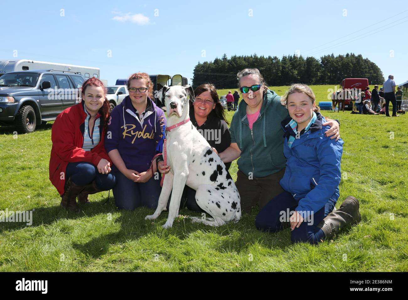 Muirkiirk, East Ayrshire, Schottland, Großbritannien, Village landwirtschaftliche Show, lokale Bauern und ihre Familien treffen und konkurrieren mit Vieh, Schafe und Rinder auf der Ausstellung. Familie mit ihrem orize siegreichen Dalmation Hund auf der PET-Show Stockfoto