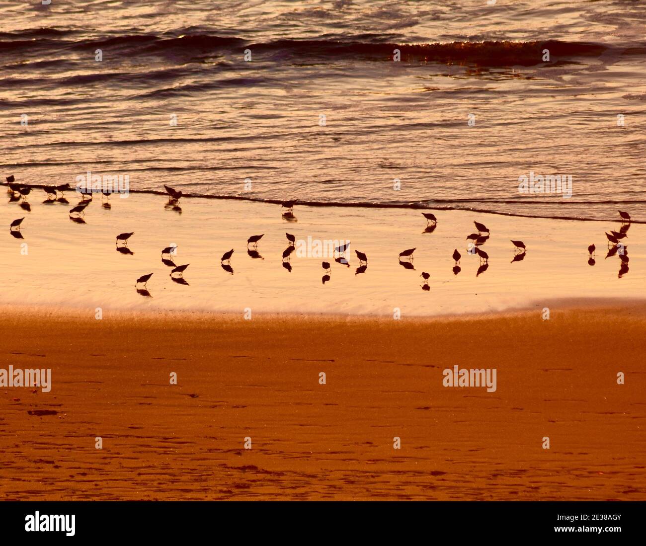 Wundervolle Sonnenuntergang über Carmel Beach Kalifornien. Es ist einer der schönsten Orte auf der Erde, um den Sonnenuntergang zu beobachten Stockfoto