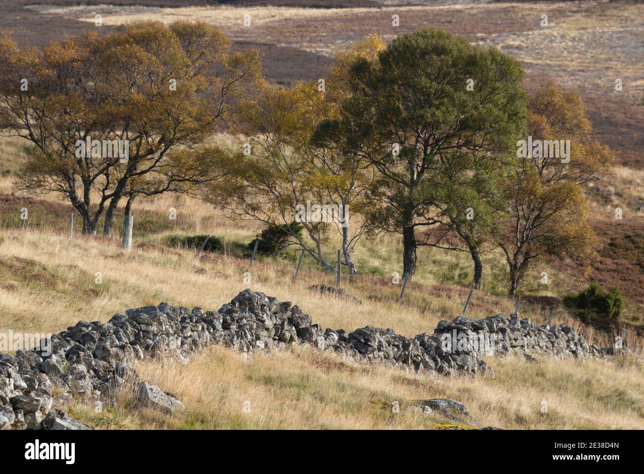 Eine trockene Steinwand über die entlegenere Moorlandschaft am Kopf von Glen Feardar im Cairngorms National Park, Schottland Stockfoto