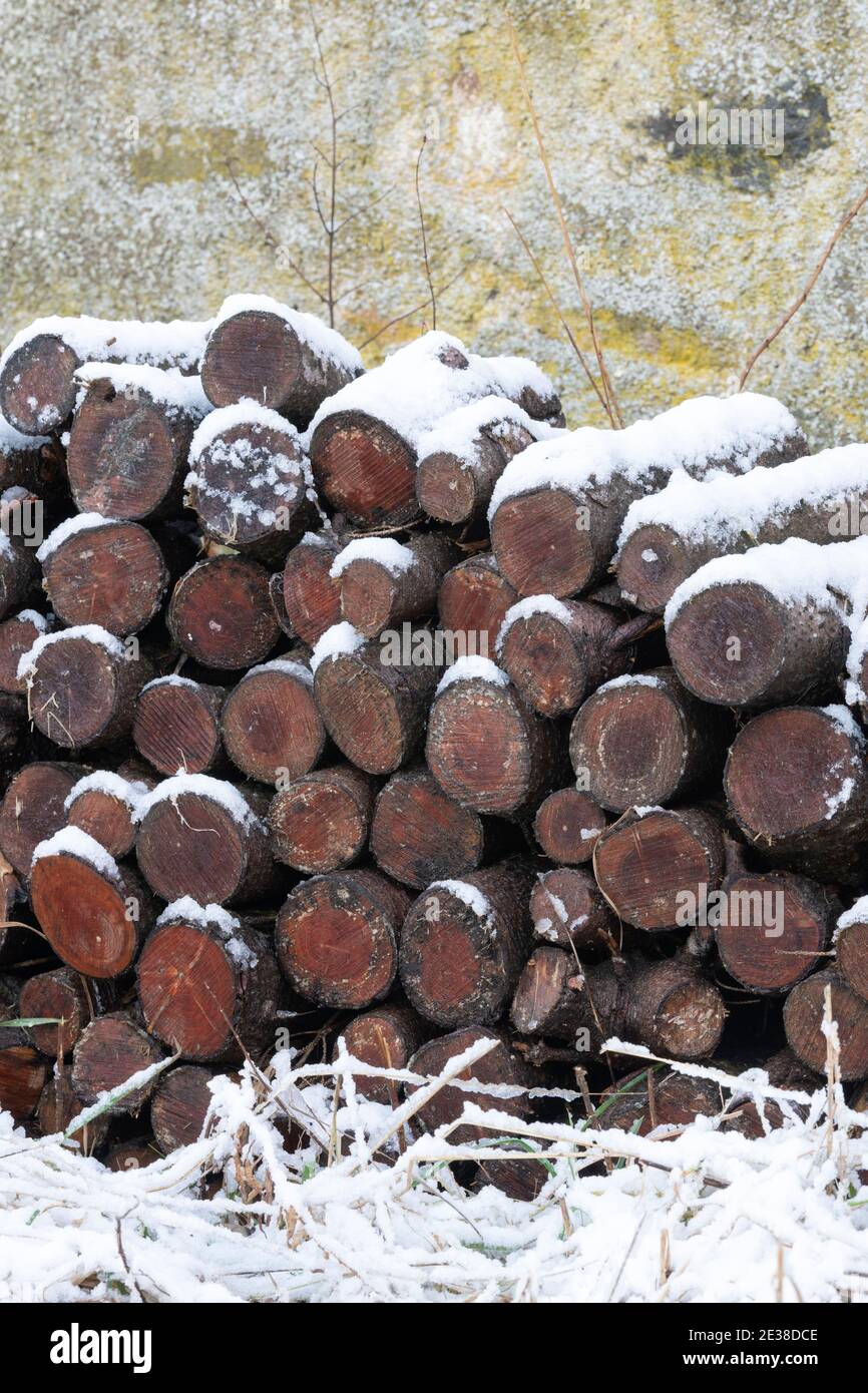 Ein verschneite Holzschnitzelstapel Stockfoto
