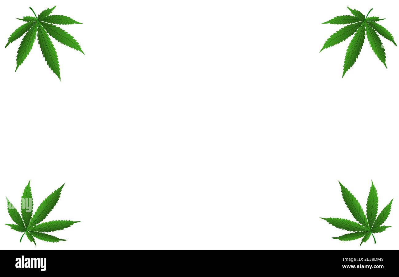 Blank für Designer mit Kopie Gewürz mit Marihuana-Blättern auf weißem Hintergrund. Vektorgrafik. Stock Vektor