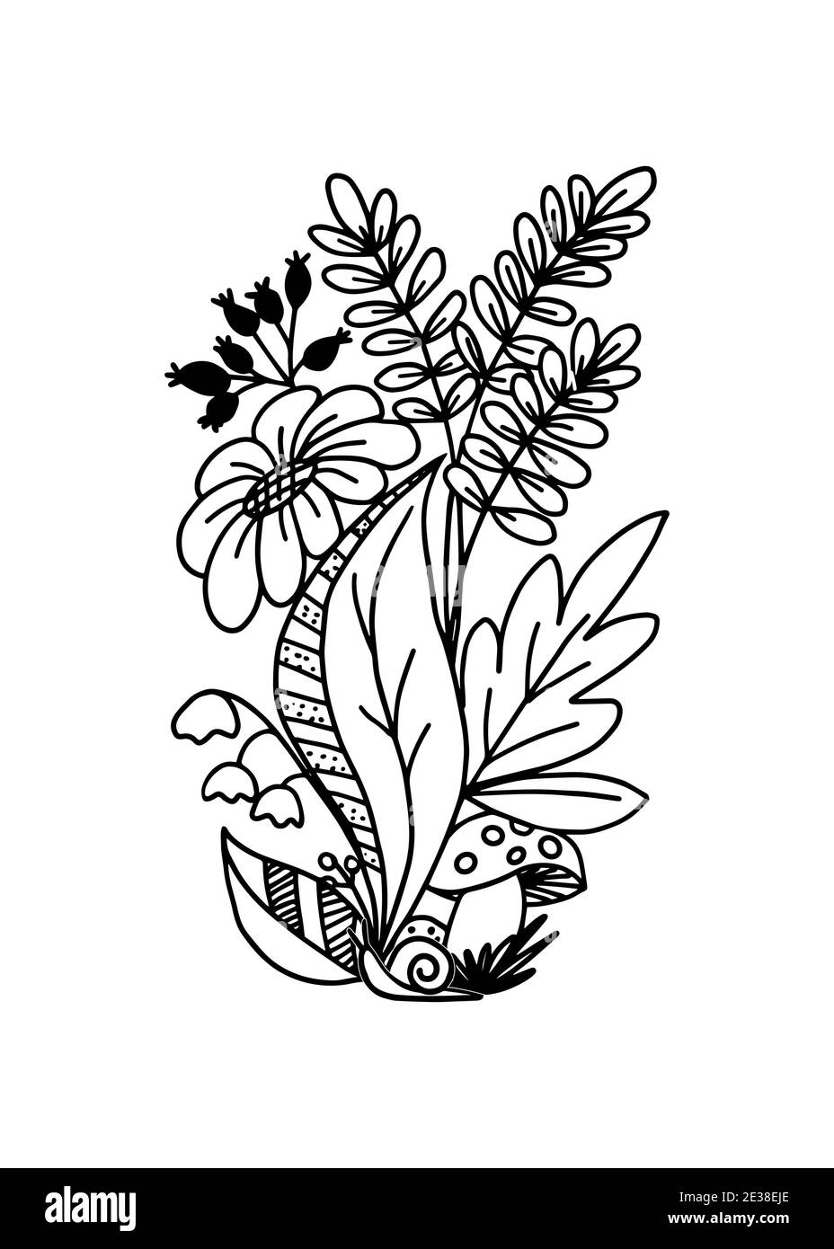 Botanische Komposition auf weißem Hintergrund. Konturzeichnung. Doodle. Stock Vektor