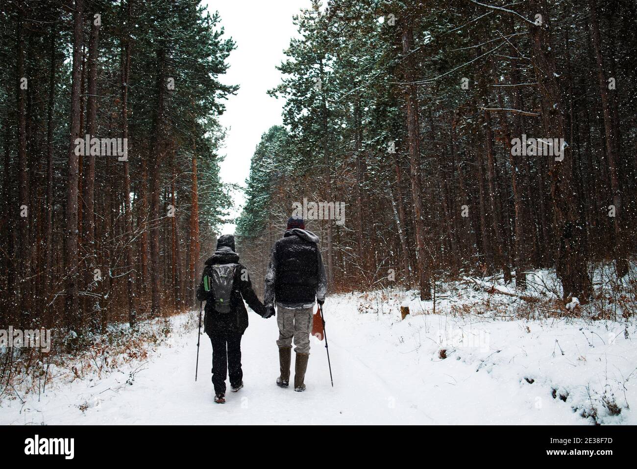 Pärchen wandern gemeinsam in der Natur und genießen ihren Tag in Die Wildnis Stockfoto