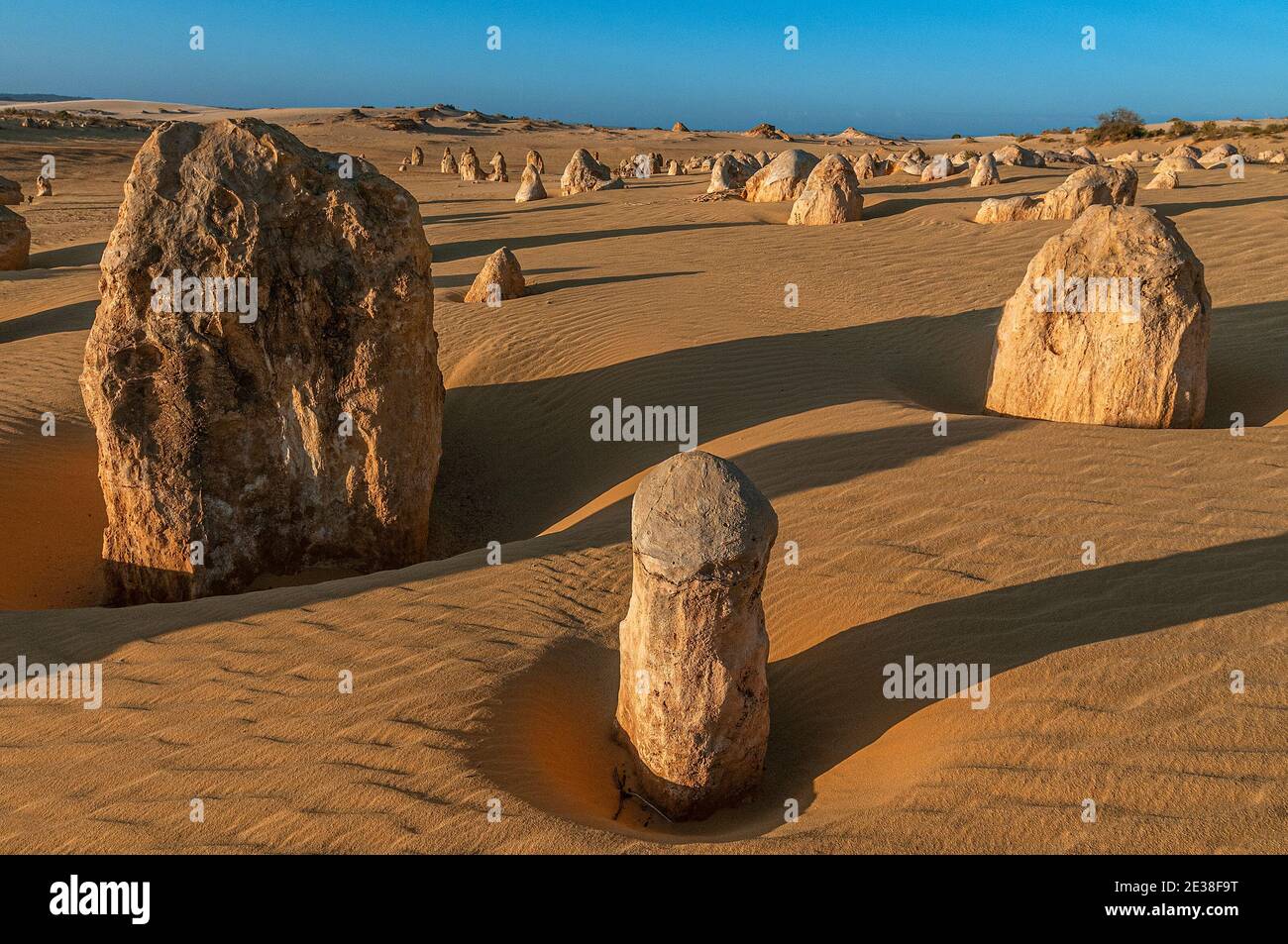 Die Western Australian Pinnacles Wüste, im Nambung National Park in der Nähe von Cervantes, aufgenommen unter spätnachmittäglichem Licht. Stockfoto