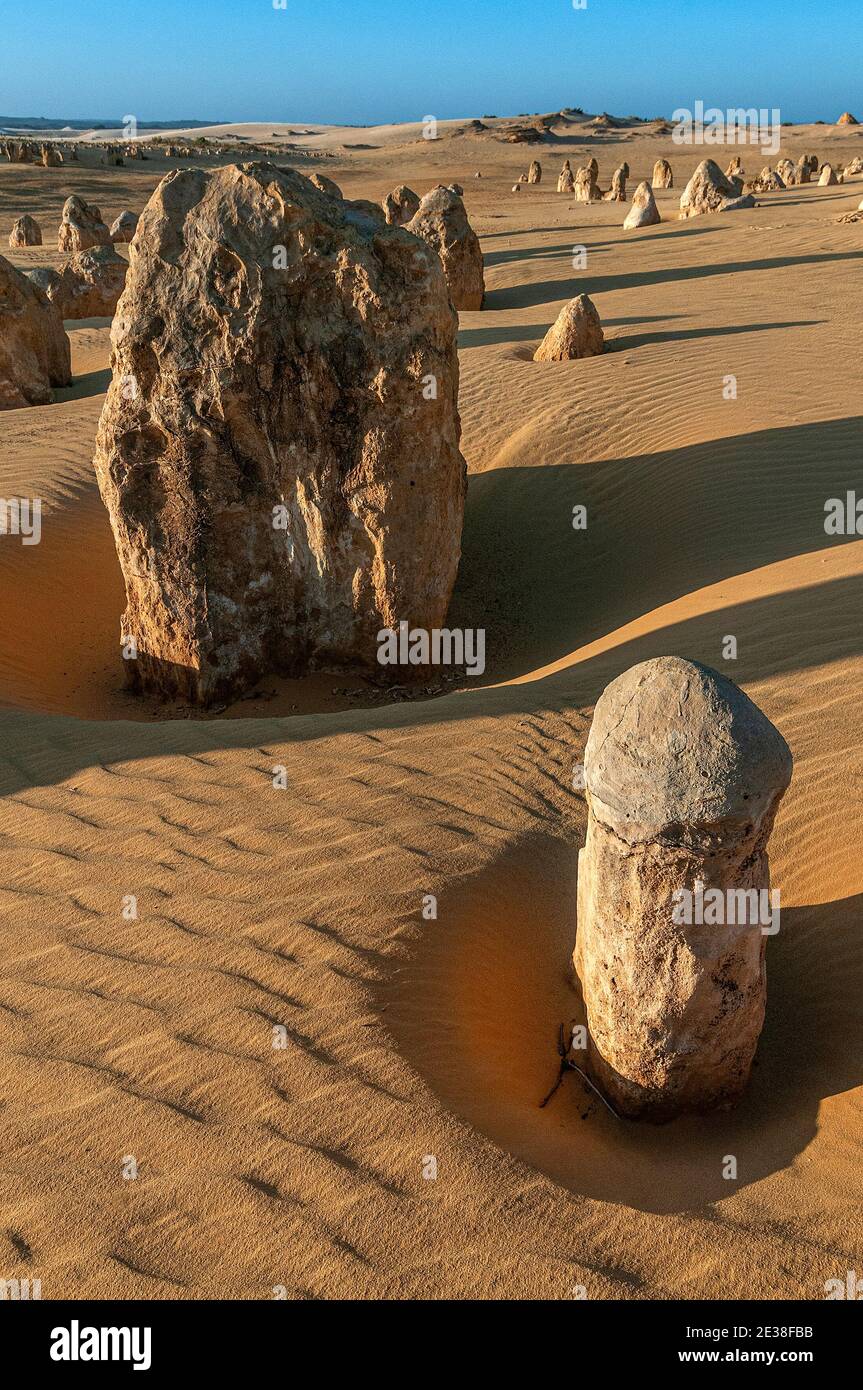 Die Western Australian Pinnacles Wüste, im Nambung National Park in der Nähe von Cervantes, aufgenommen unter spätnachmittäglichem Licht. Stockfoto