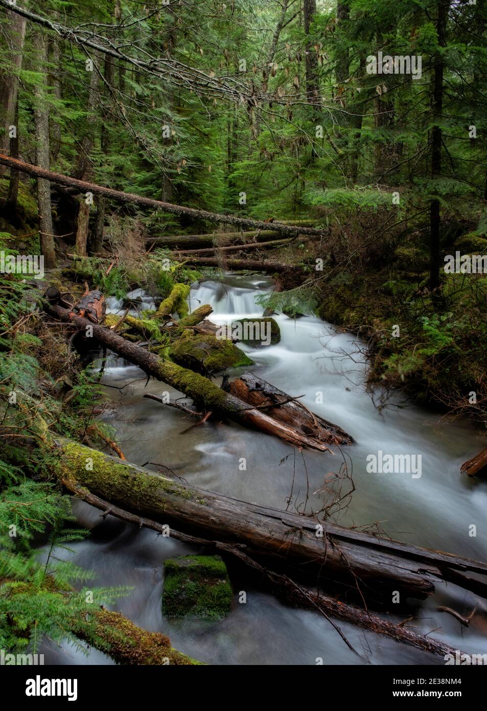Dies ist der kleine Zigzag Creek in der Nähe von Rhododendron, Oregon. Es wurde im Januar aufgenommen. Stockfoto
