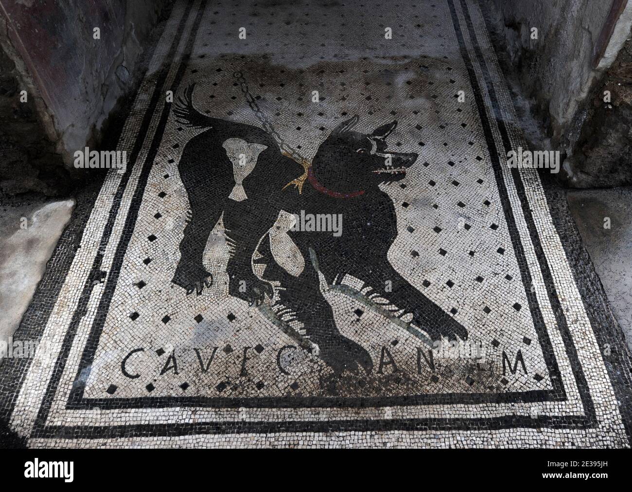 Ein Blick auf das Haus des tragischen Dichters in Pompeji, Süditalien am 25. November 2010. Am Eingang befindet sich das berühmte Mosaik mit einem verketteten Hund und die Message CAVE CANEM ('Vorsicht vor dem Hund'). Die antike römische Stadt Pompeji, die vor 2,000 Jahren in vulkanischer Asche aufbewahrt wurde, leidet unter Verfall. Archäologen sagen, dass es durch Vandalismus, Verschmutzung und Vernachlässigung ruiniert wird. Ihre Schätze sind nun in großer Gefahr, für immer verloren zu sein. Am 6. November brach Pompejis Haus der Gladiatoren zusammen und der Rest der außergewöhnlichen antiken Stadt befindet sich in einem gefährlichen Zustand. Pompeji wurde 79 n. Chr. durch einen Ausbruch zerstört Stockfoto