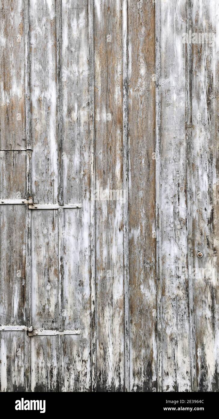 Holzhintergrund. Distressed Holz Textur weiß grau gefärbte Planke Stockfoto