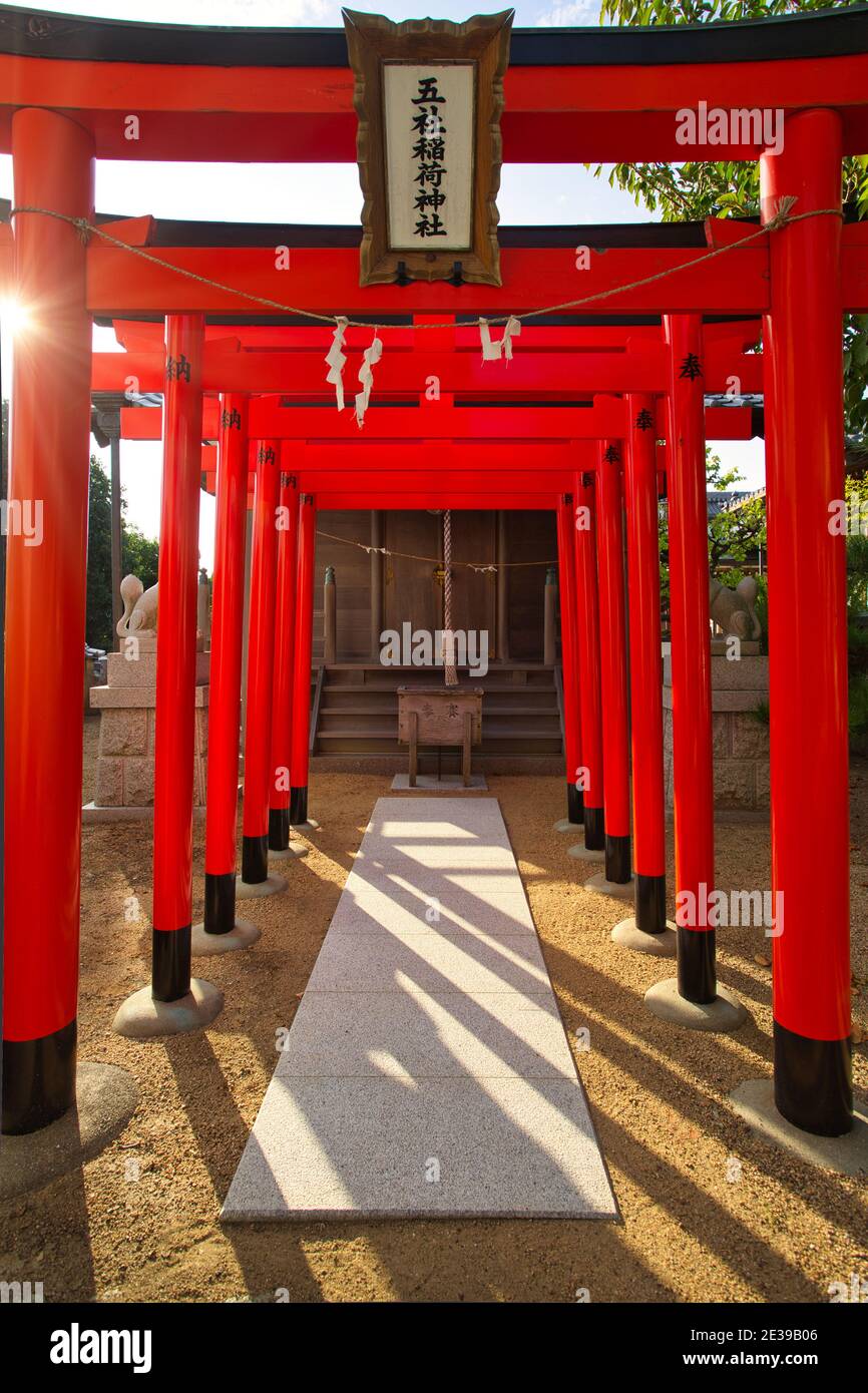 Torii-Tore am Kakinomoto-Schrein ist ein Shinto-Schrein in Akashi, Präfektur Hyogo, Japan Stockfoto