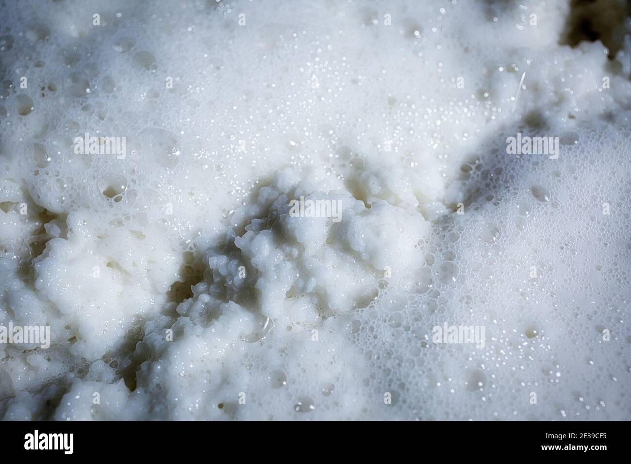 Herstellung von japanischem Sake, Sake Fermentation Stockfoto