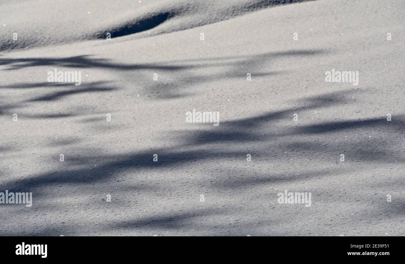 Nahaufnahme von Neuschnee, der ein Feld mit Schatten bedeckt Und Textur Stockfoto