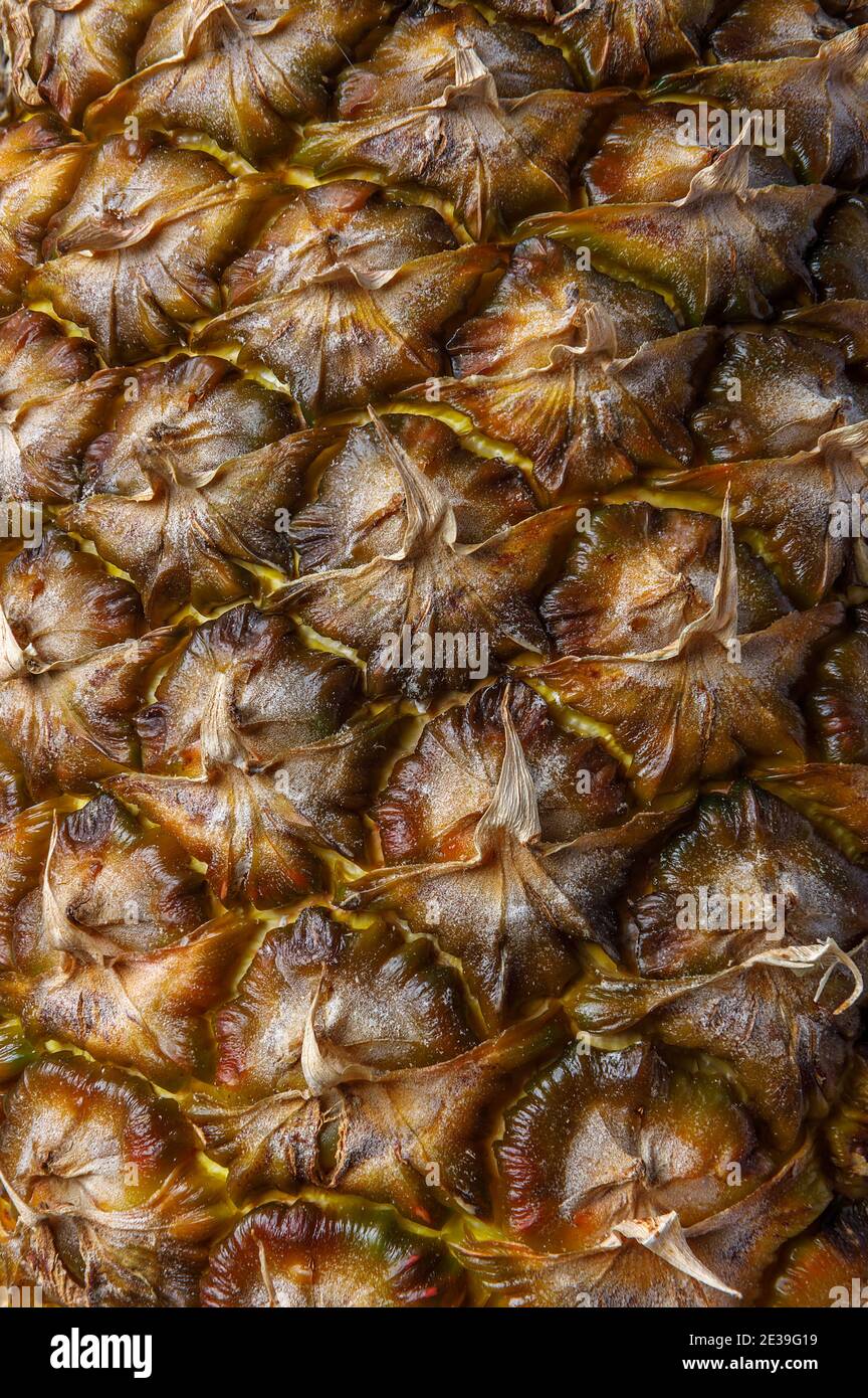 Ein Fragment einer reifen saftigen Ananas. Textur der Fruchthaut Nahaufnahme. Stockfoto