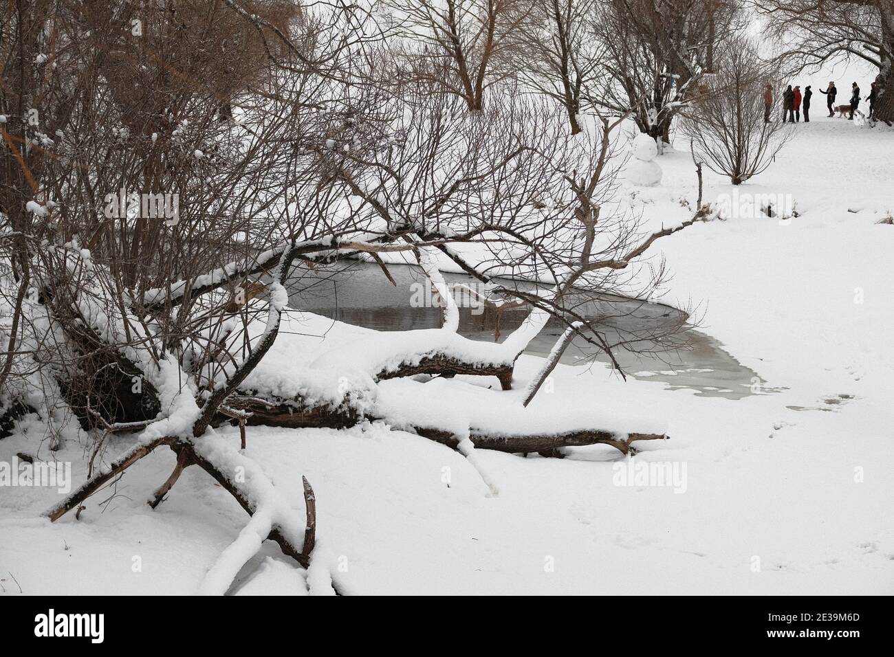 Schneebedeckte Einlass und umgestürzte Baumstämme und Hundespaziergänger im Park an einem Winterhalbtag in Ottawa, Ontario, Kanada. Stockfoto