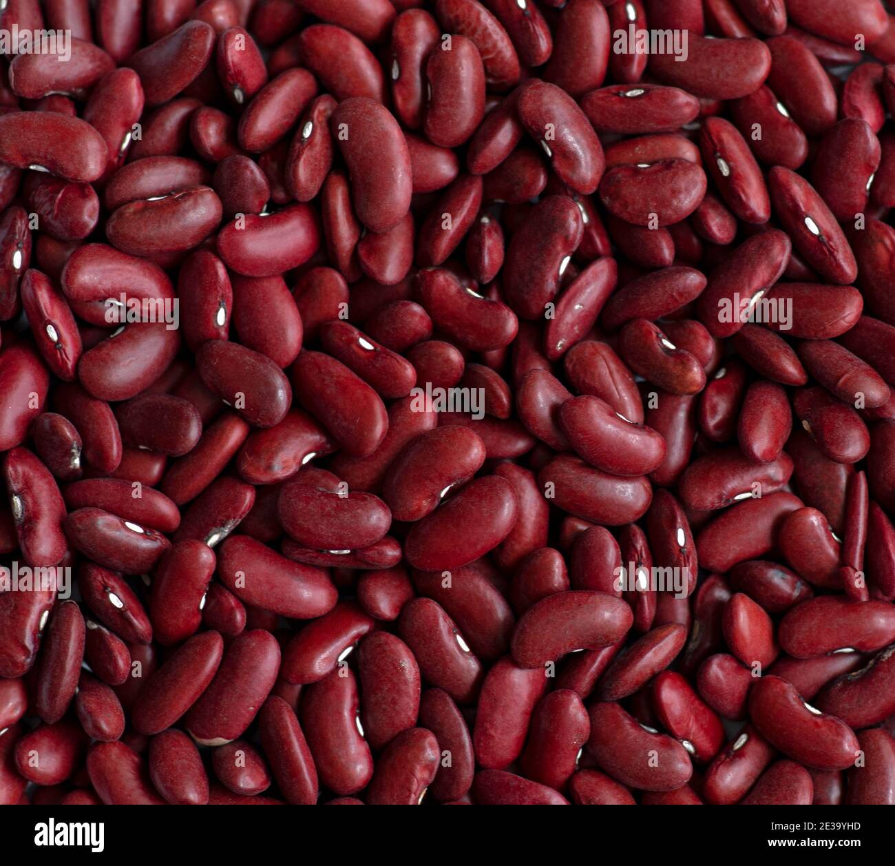 Rohe rote Bohnen. Bohnen sind eine Quelle für gesundes Pflanzenprotein Stockfoto