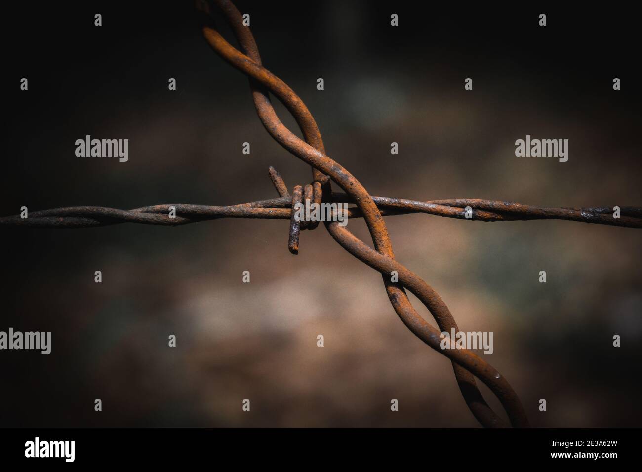 Nahaufnahme von verrosteten Stacheldraht-Zaundrähten, die sich kreuzen Stockfoto