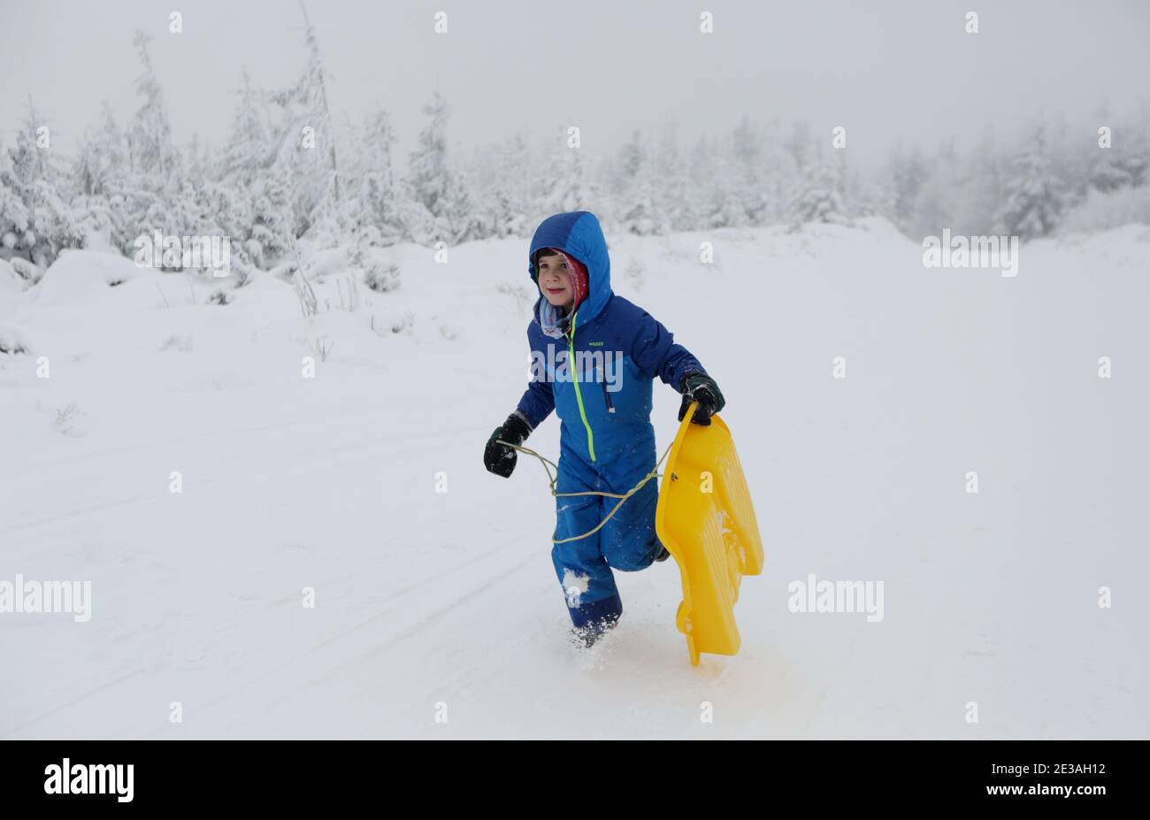 Skrzyczne, Polen - 17. Januar 2021: Ein kleiner Junge reitet auf dem Schlitten auf dem Gipfel des Skrzyczne in den Schlesischen Beskiden Stockfoto