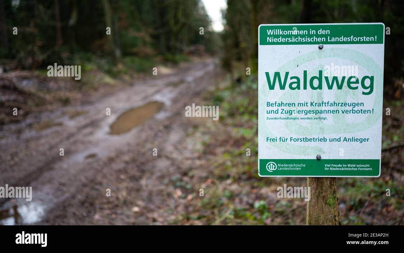 Oerrel, Deutschland. Januar 2021. "Waldweg" steht auf einem Schild im Wald. Illegale Abfallentsorgung ist ein fortwährendes Thema - viele Menschen werfen ihren Müll einfach in die Natur, nachdem sie Korona-bezogene Ausmusterung und Aufräumung in Hausgärten, Kellern und Dachböden gemacht haben. Quelle: Philipp Schulze/dpa/Alamy Live News Stockfoto
