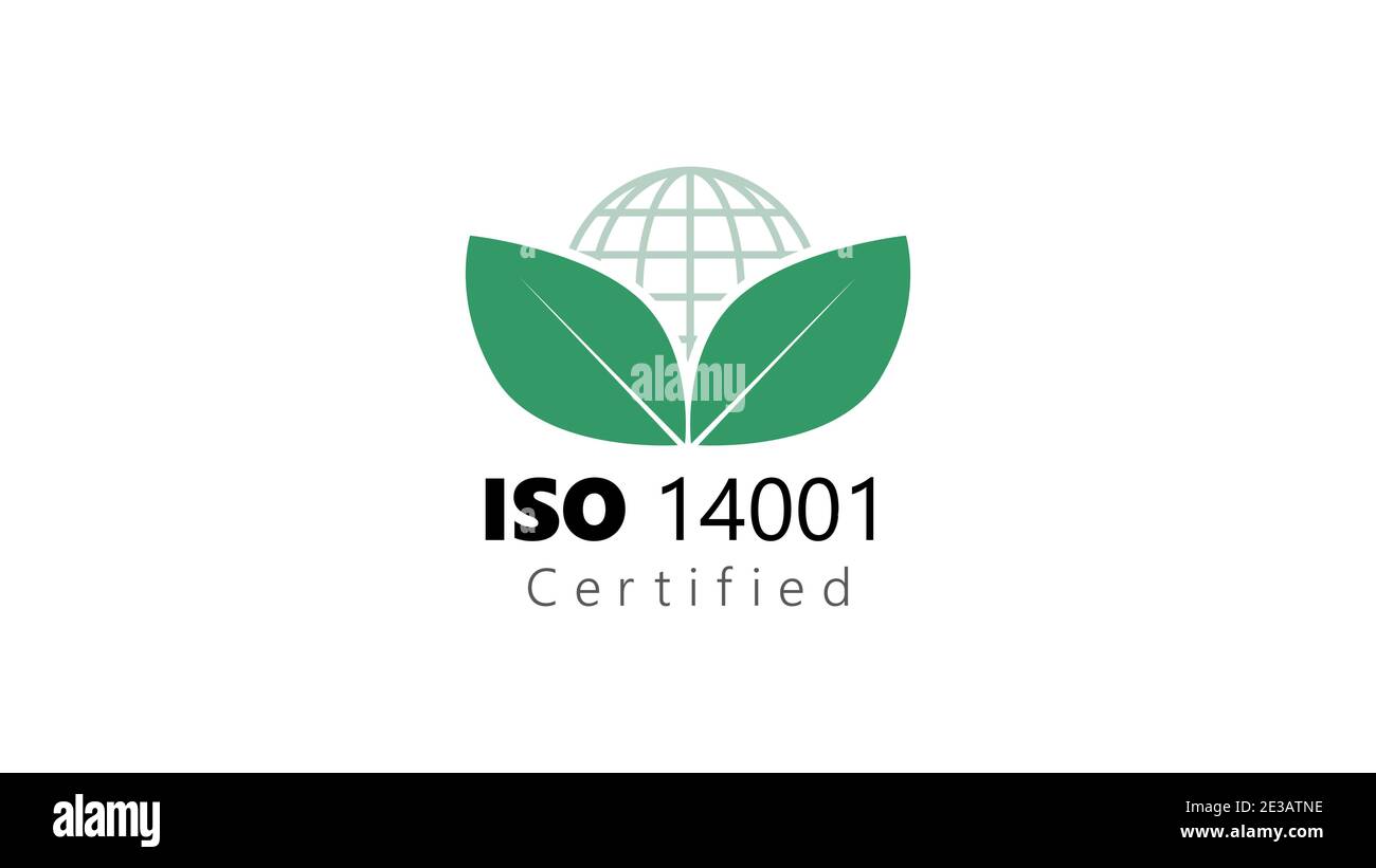 ISO 14001 zertifiziert internationalen Standard Organisation Umweltmanagement Globus und Vektorgrafik grünes Blatt Stock Vektor