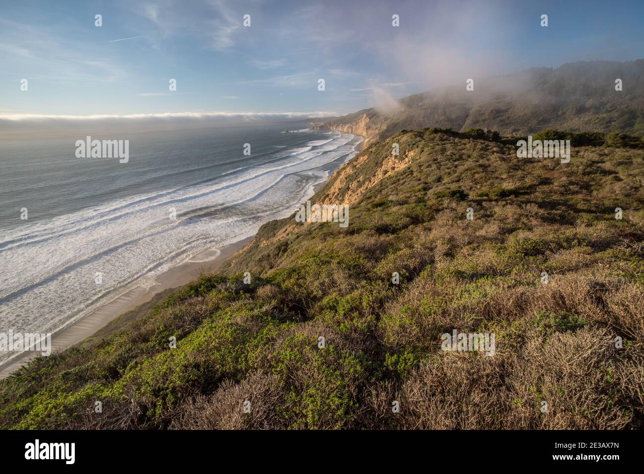 Die unberührte Küste von Point Reyes National Seashore, wo Meer trifft auf Klippen & Kaparral nördlich von San Francisco in Kalifornien, USA. Stockfoto