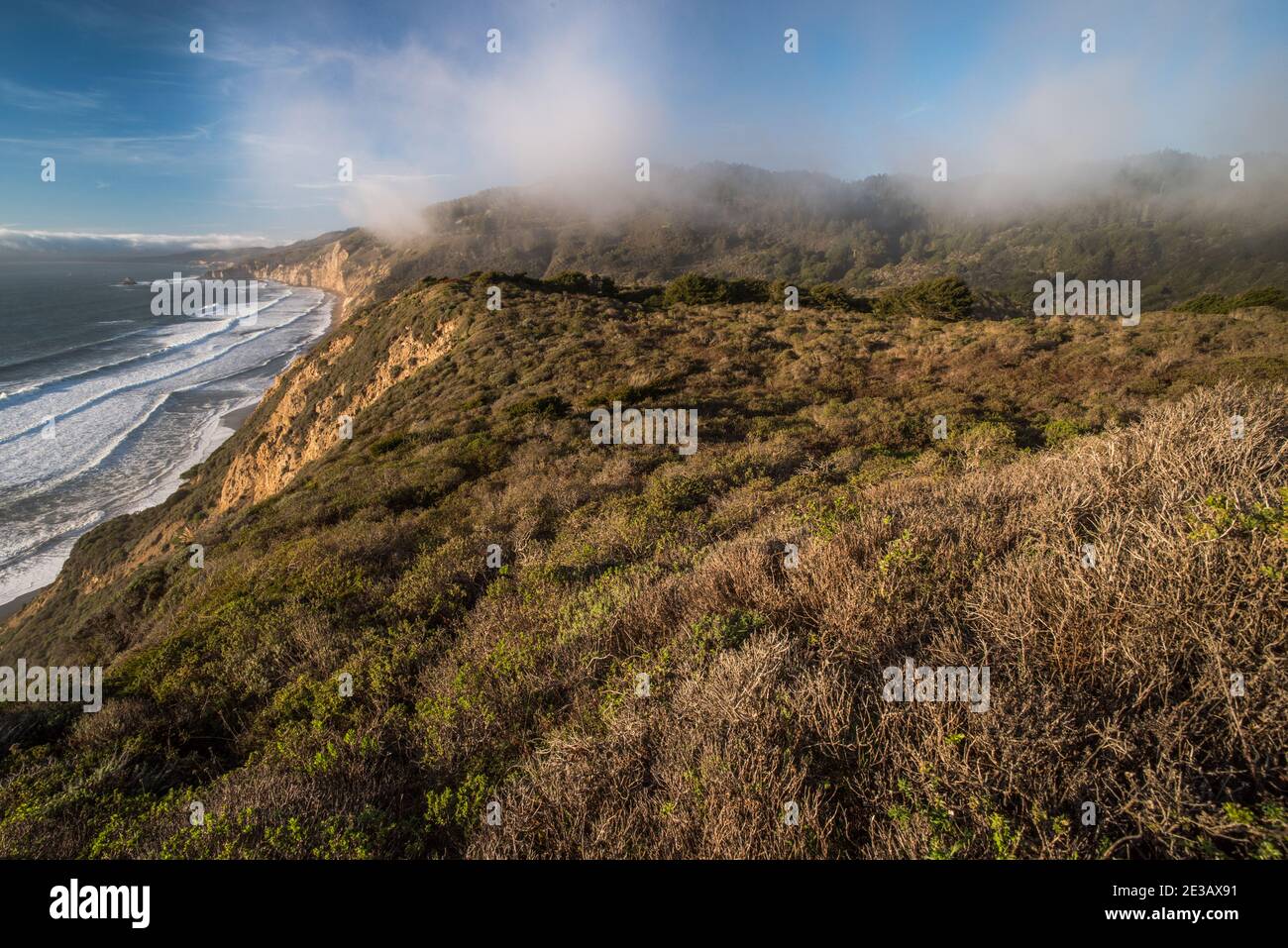 Die unberührte Küste von Point Reyes National Seashore, wo Meer trifft auf Klippen & Kaparral nördlich von San Francisco in Kalifornien, USA. Stockfoto