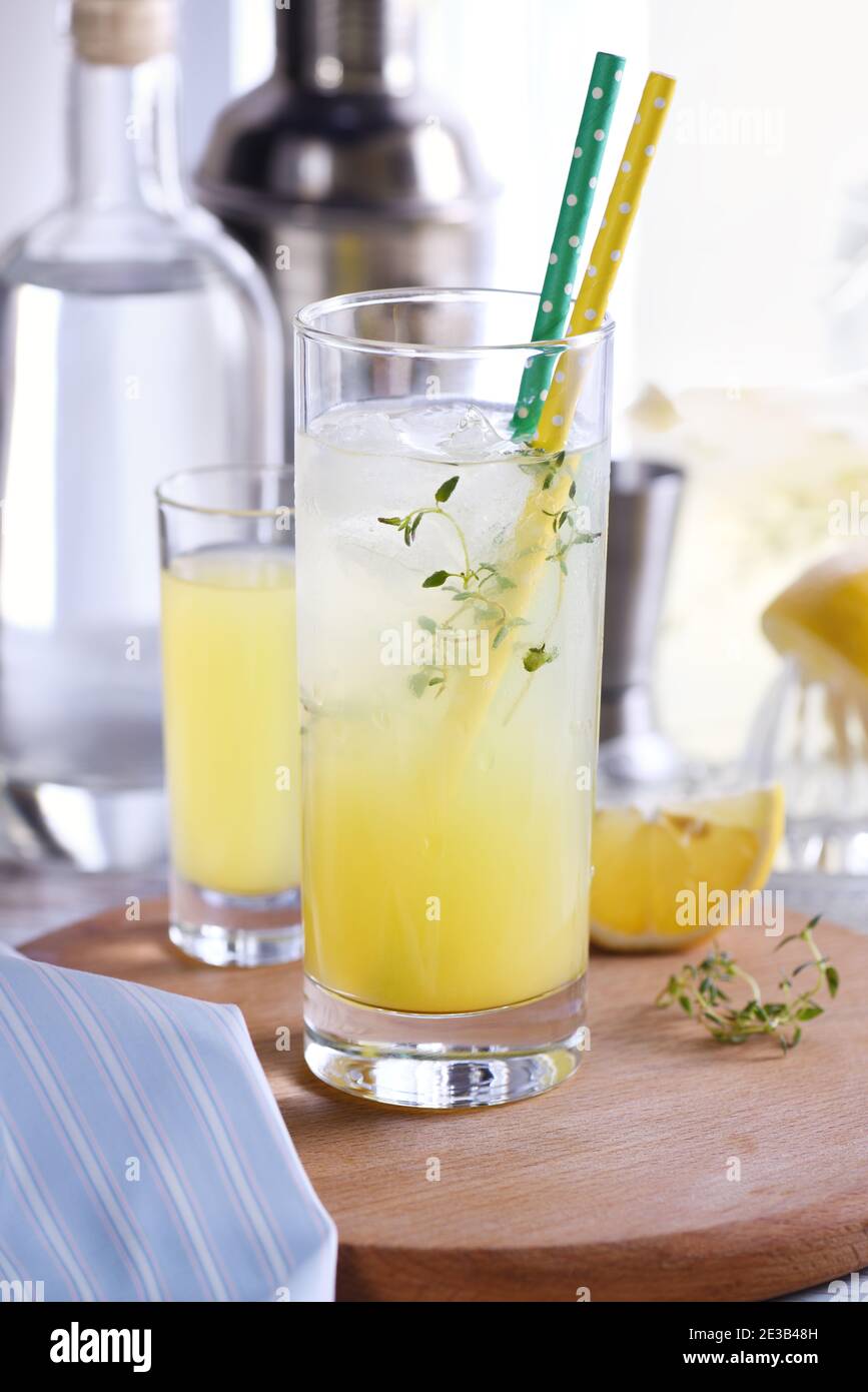 Easy Summer Cocktail (Limoncello) frischer Zitronensaft, Wodka und Club Soda oder Mineralwasser. Dieses Getränk ist der beste Weg, um sich an einem heißen Tag abzukühlen. Stockfoto