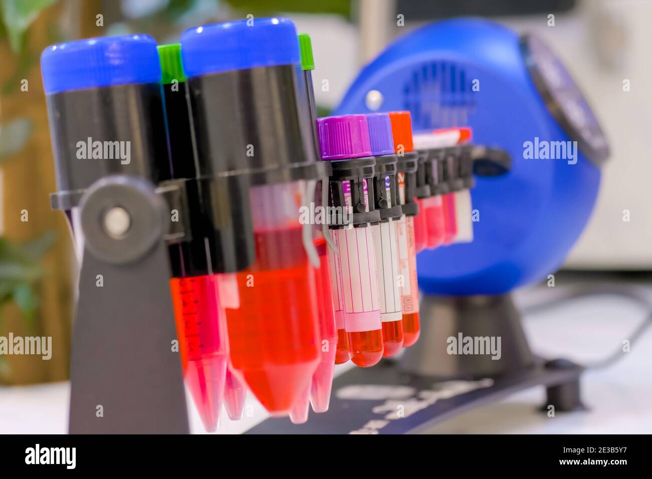 Digitaler Röhrenrotisserie-Rotator zum Mischen biologischer Proben: Nahaufnahme Stockfoto